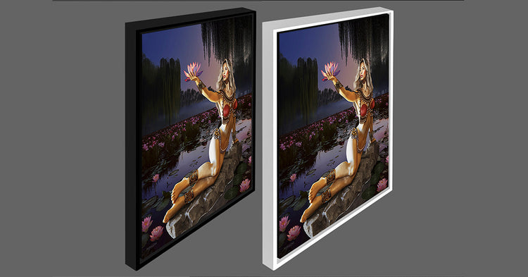 Canvas Artwork Framed