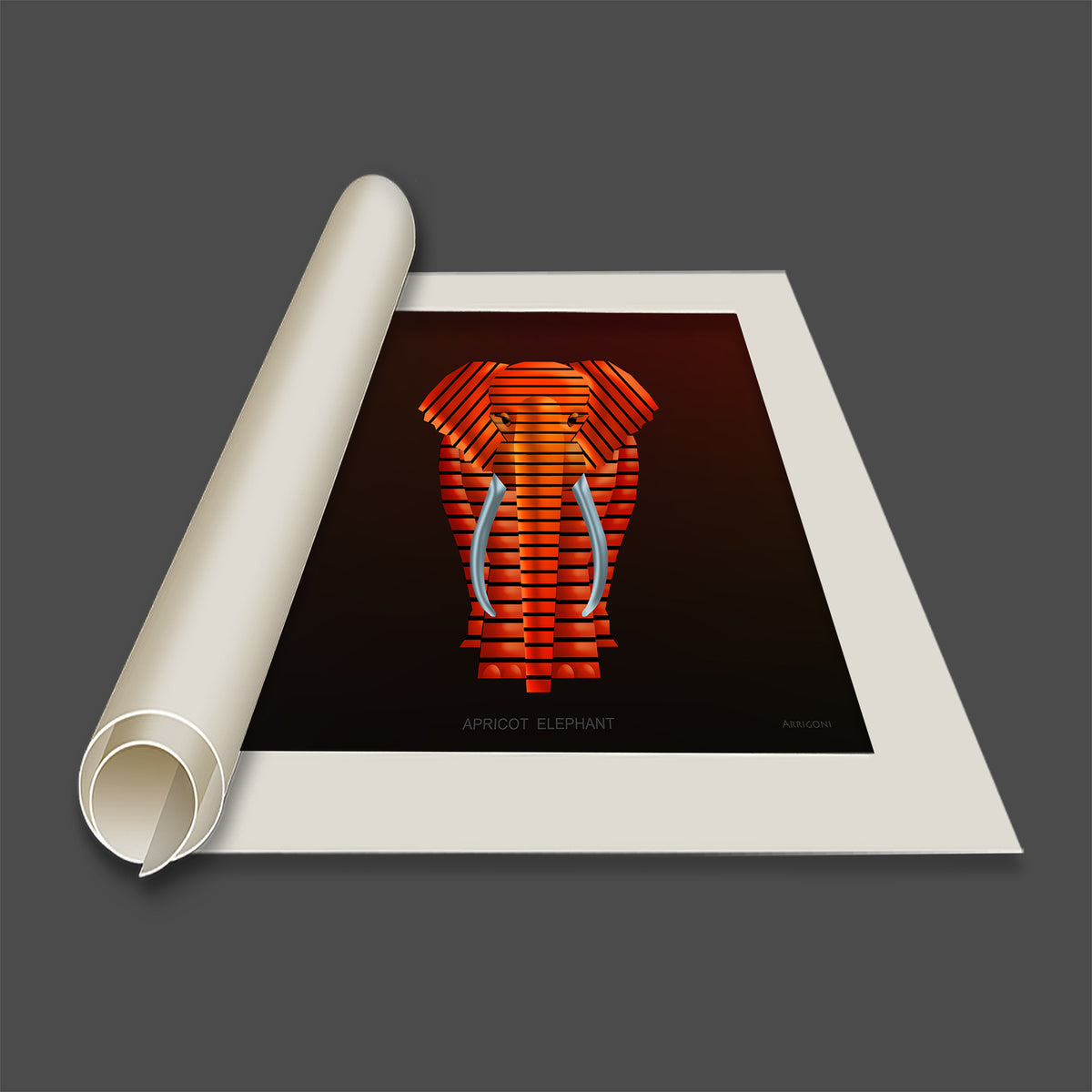 APRICOT ELEPHANT (CANVAS ONLY)