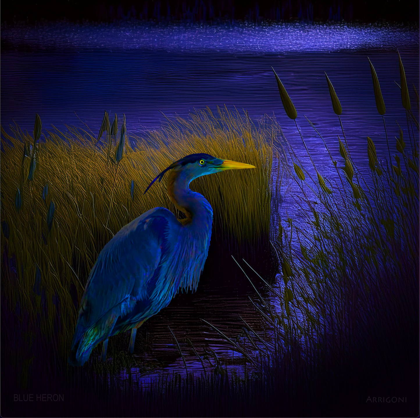 BLUE HERON (CANVAS ONLY)