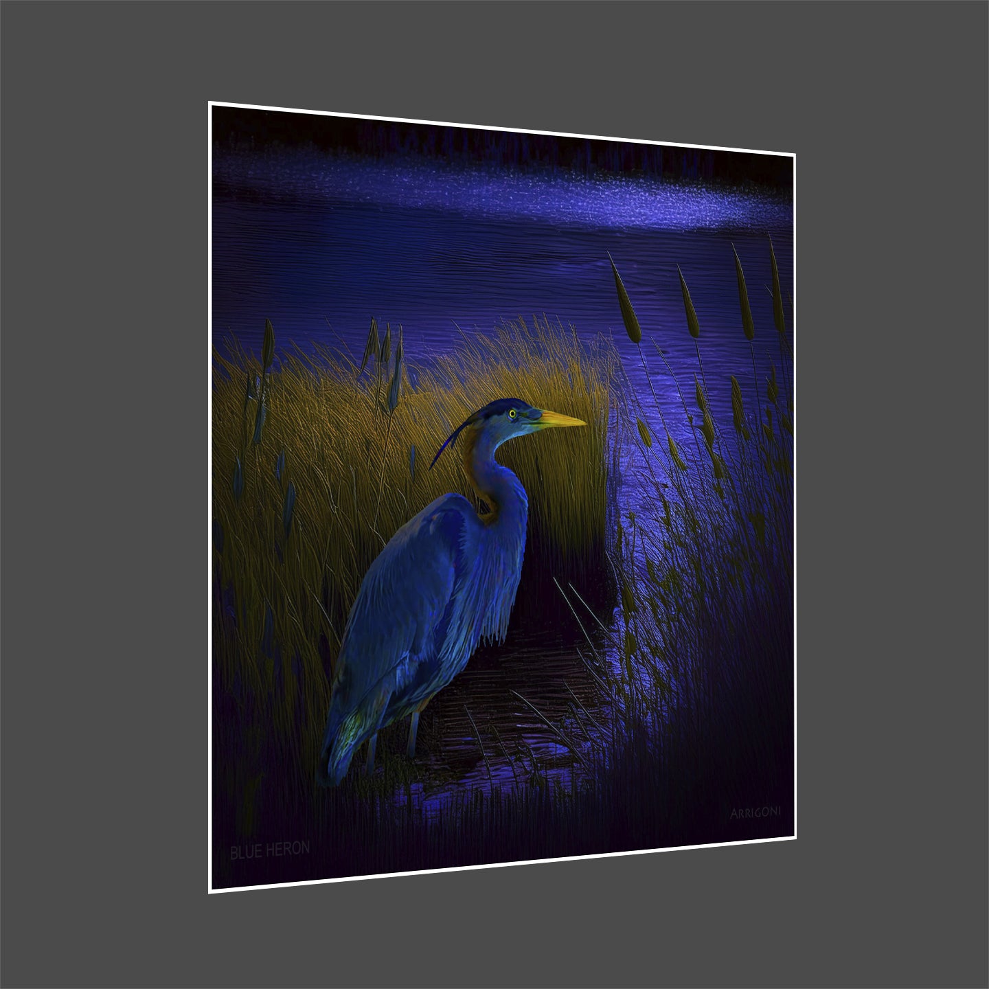 BLUE HERON (PAPER ONLY)