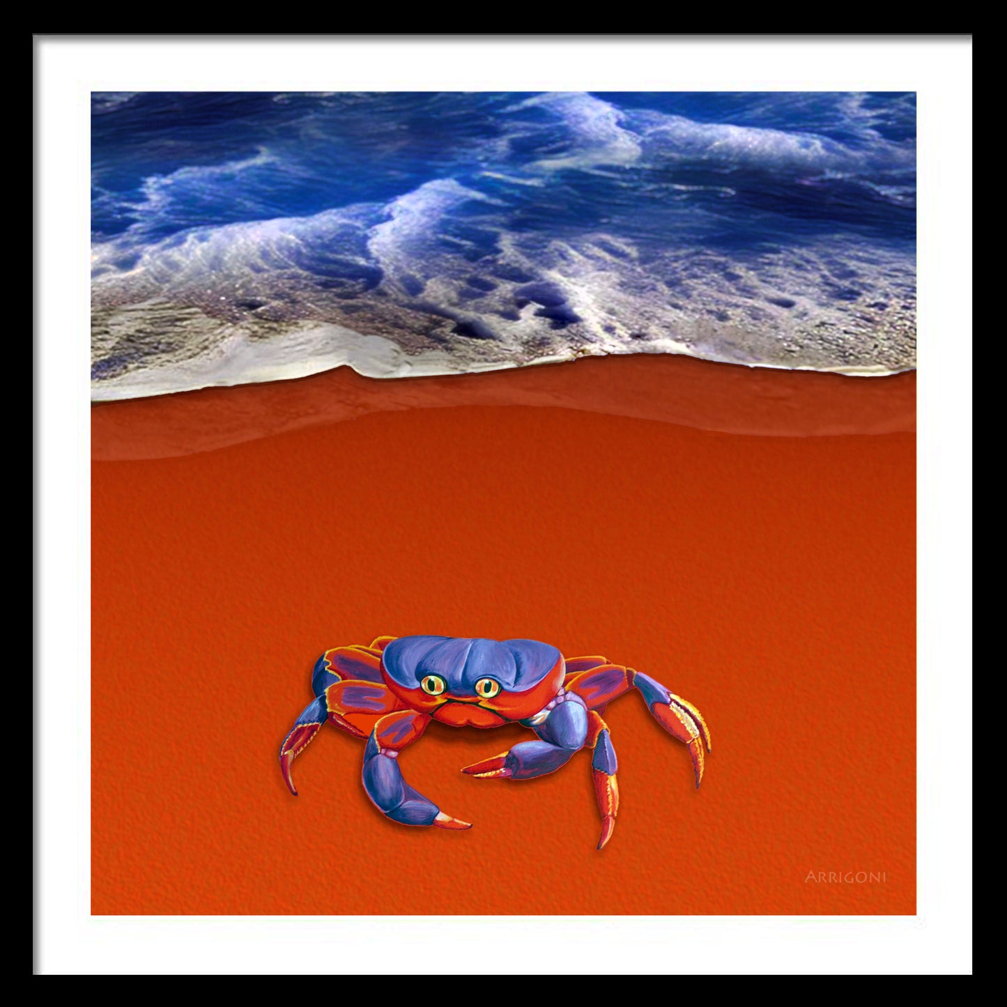 BLUE CRAB (FINE ART PAPER PRINT FRAMED)