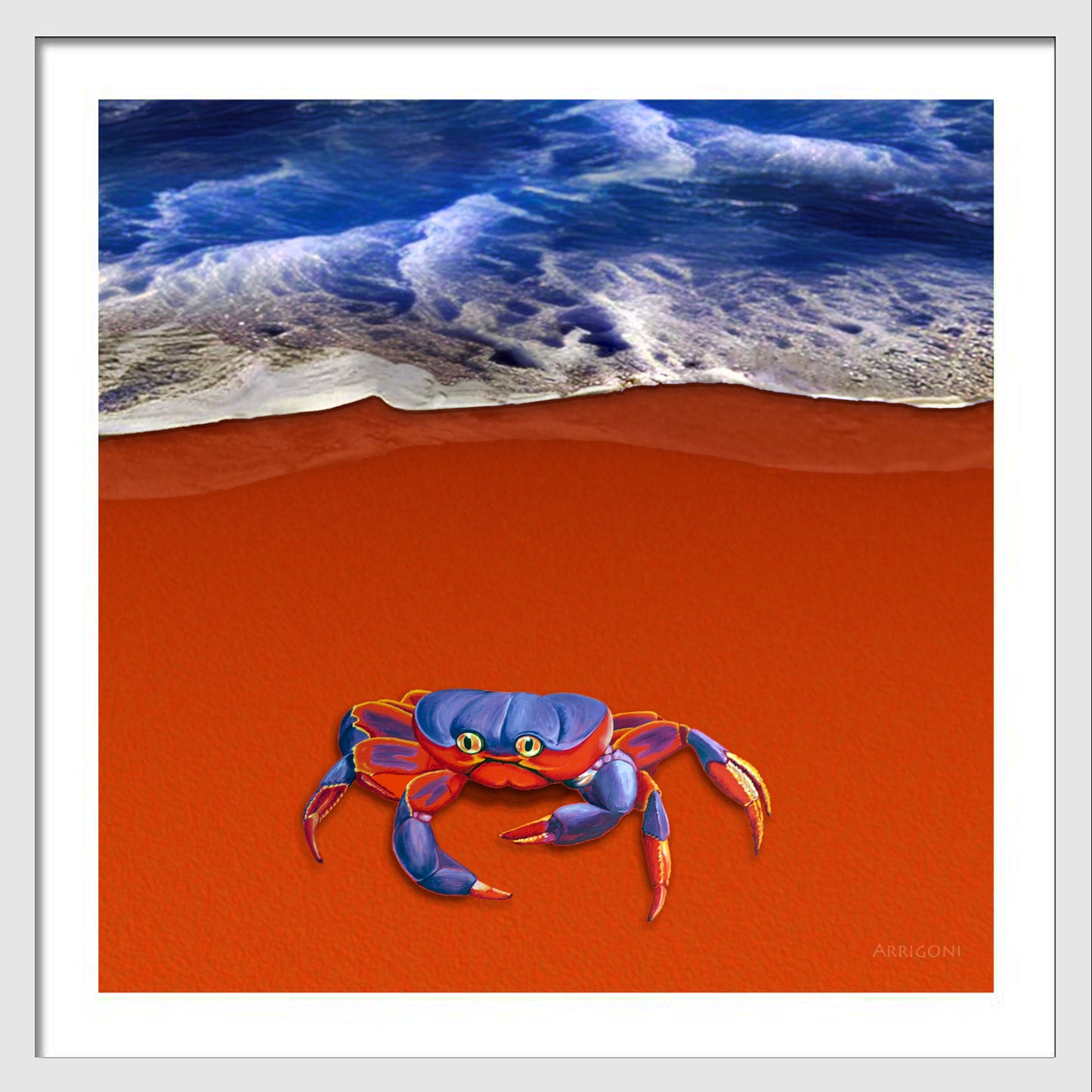 BLUE CRAB (FINE ART PAPER PRINT FRAMED)
