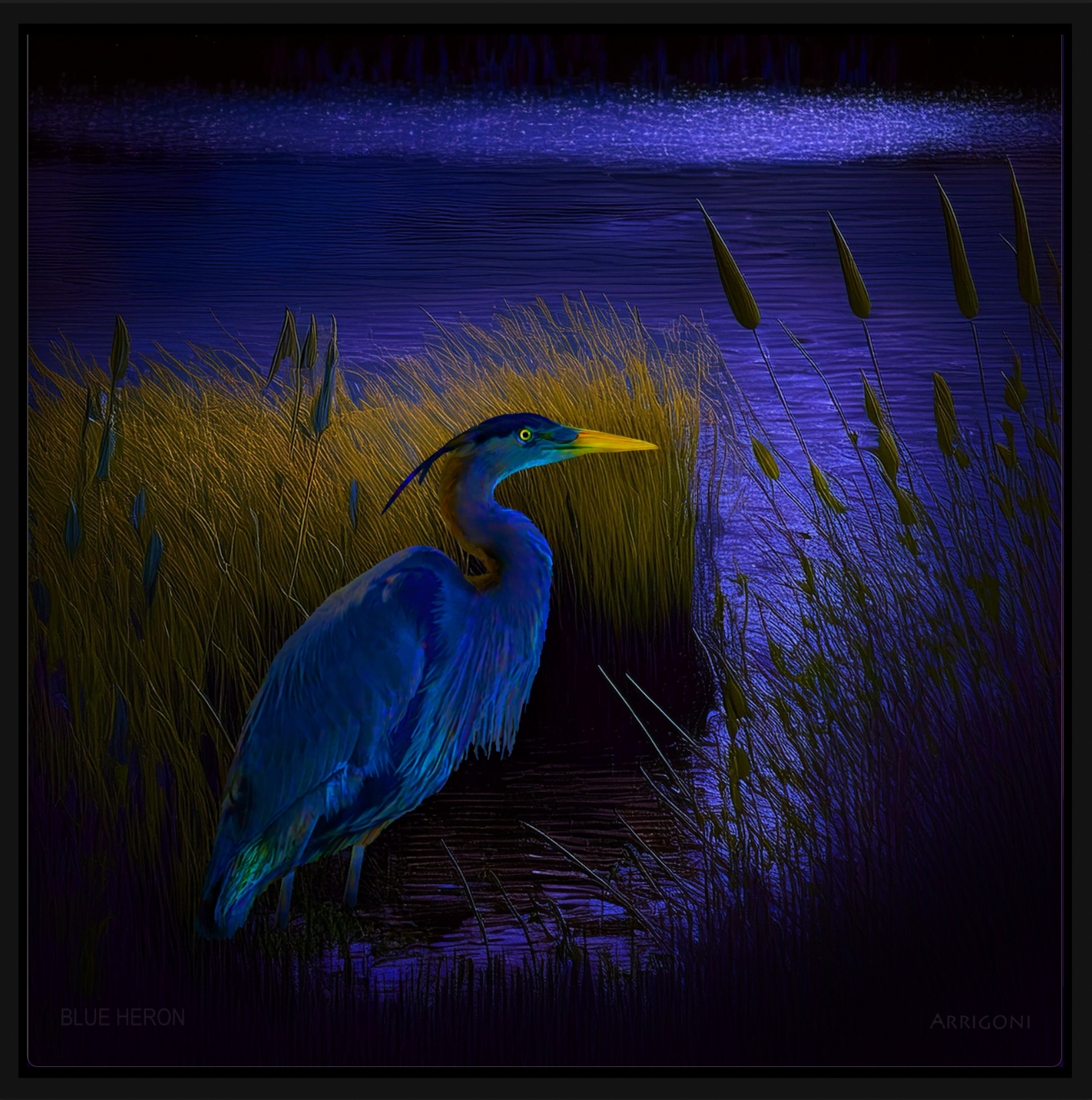 BLUE HERON (CANVAS FRAMED)