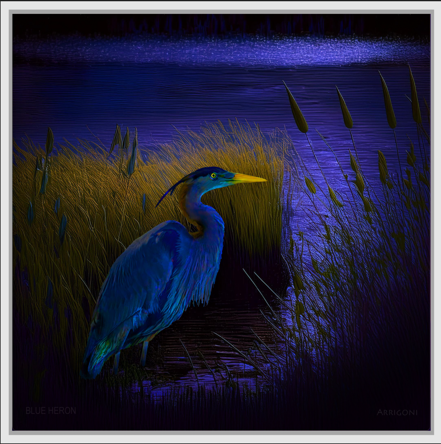 BLUE HERON (CANVAS FRAMED)