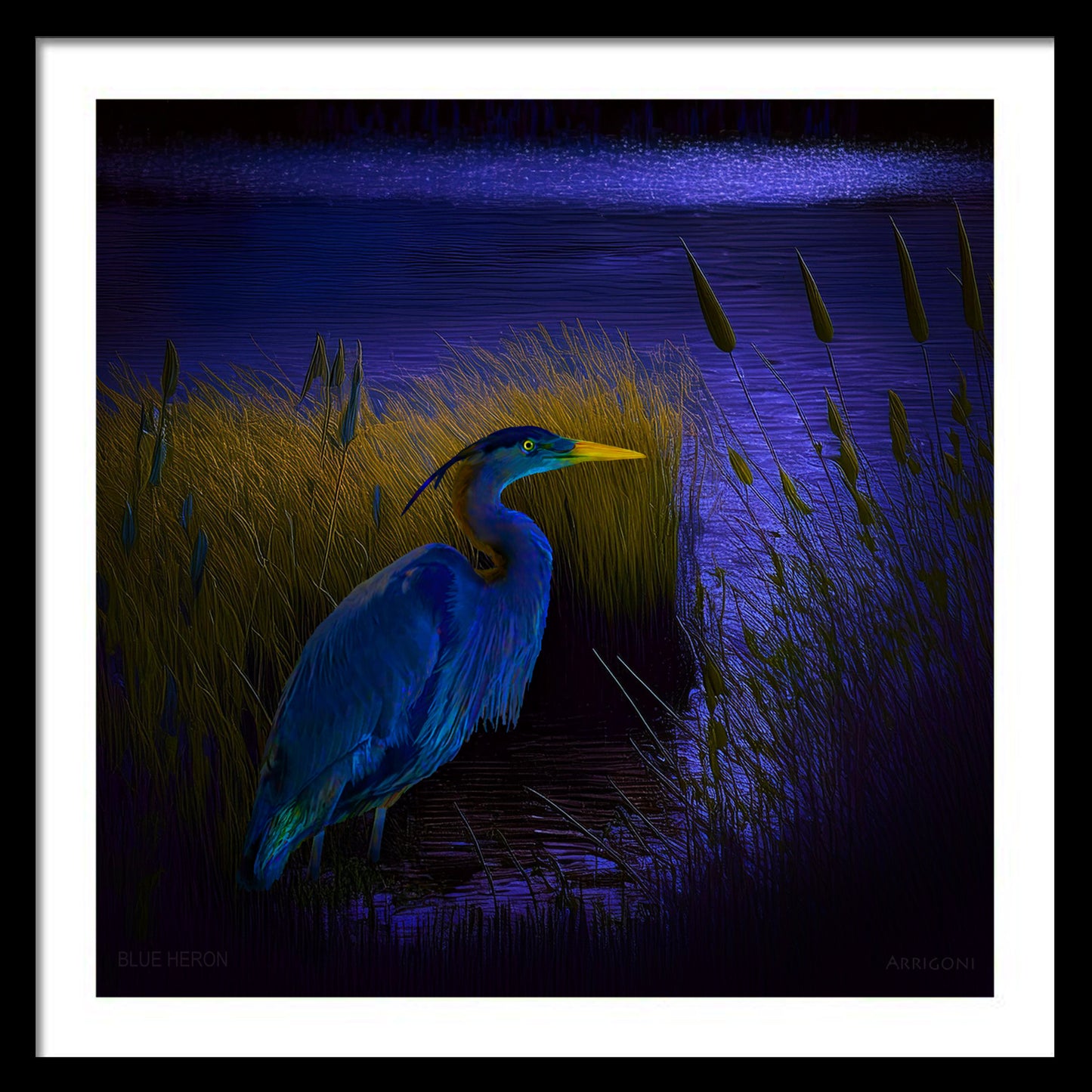 BLUE HERON (FINE ART PAPER PRINT FRAMED)