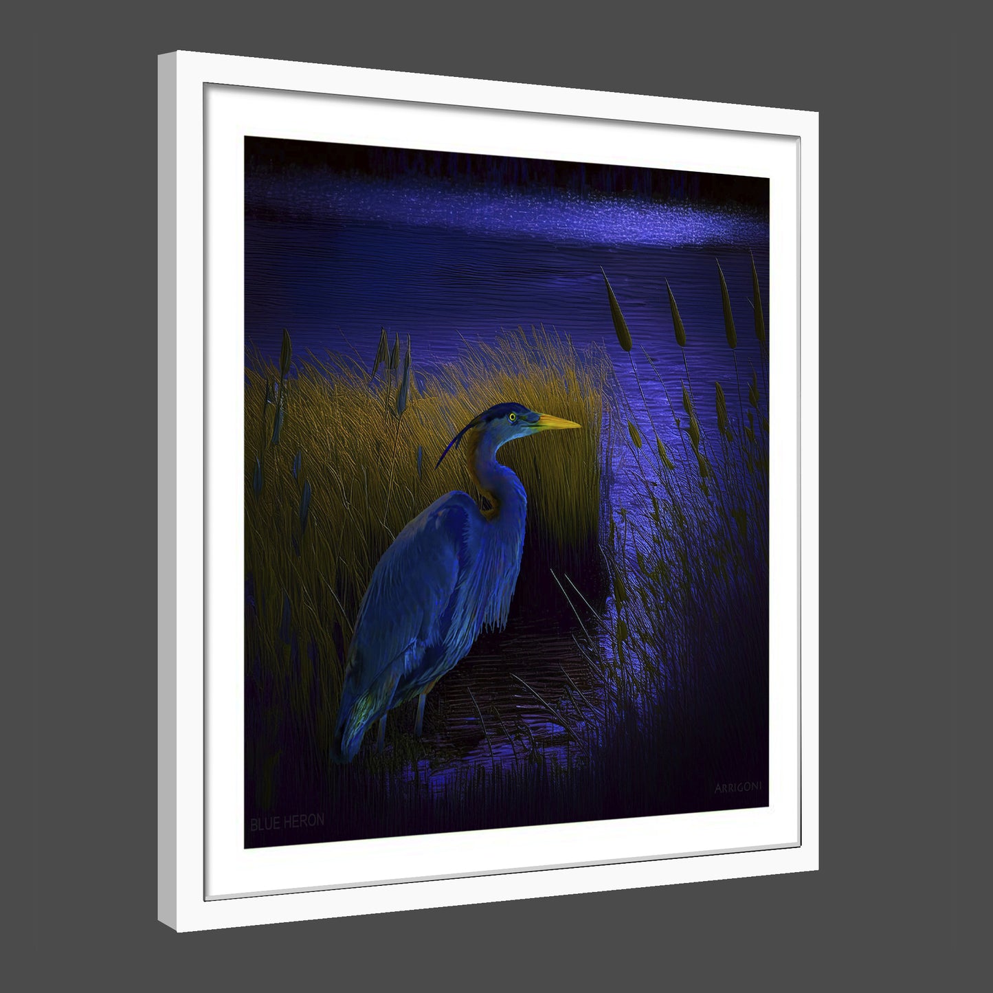 BLUE HERON (FINE ART PAPER PRINT FRAMED)