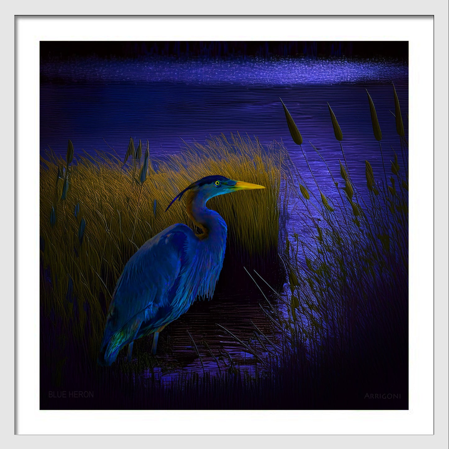 BLUE HERON (FINE ART PAPER PRINT FRAMED)