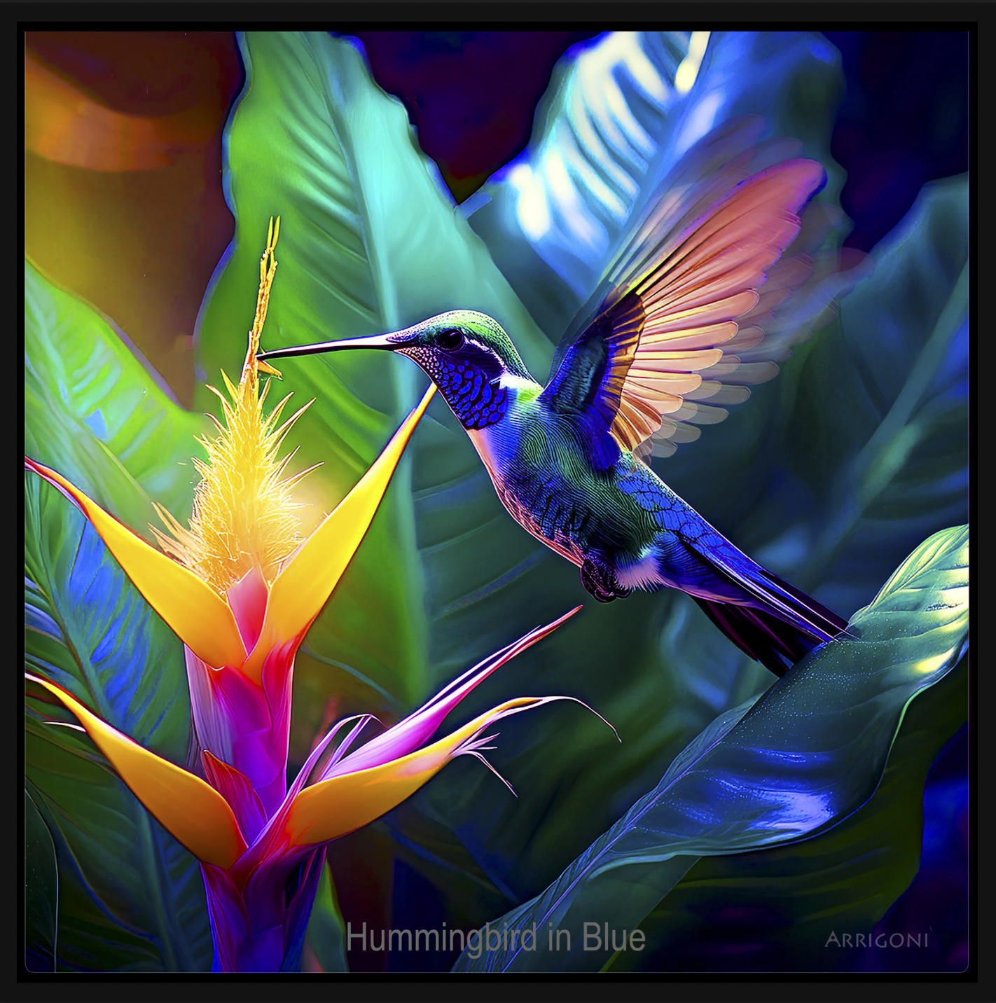HUMMINGBIRD IN BLUE (CANVAS FRAMED)