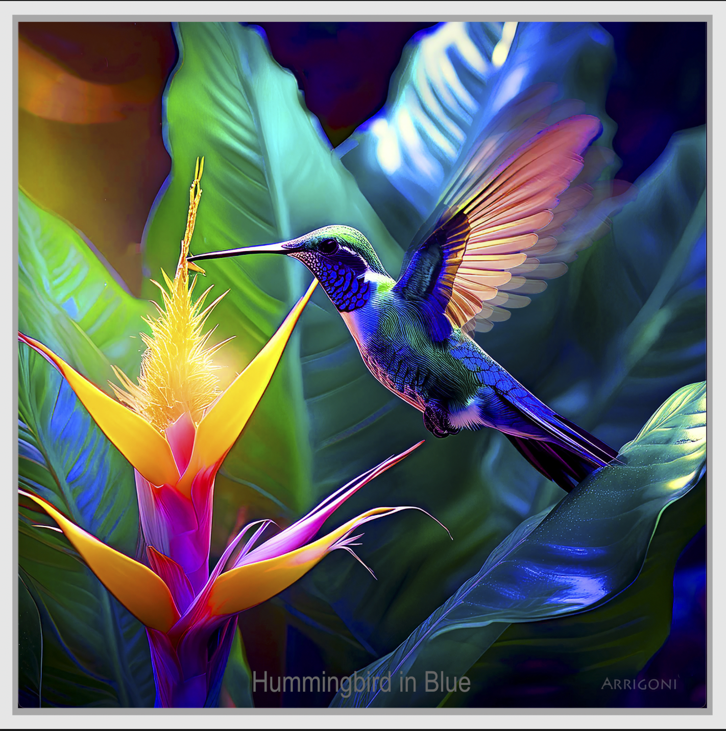 HUMMINGBIRD IN BLUE (CANVAS FRAMED)