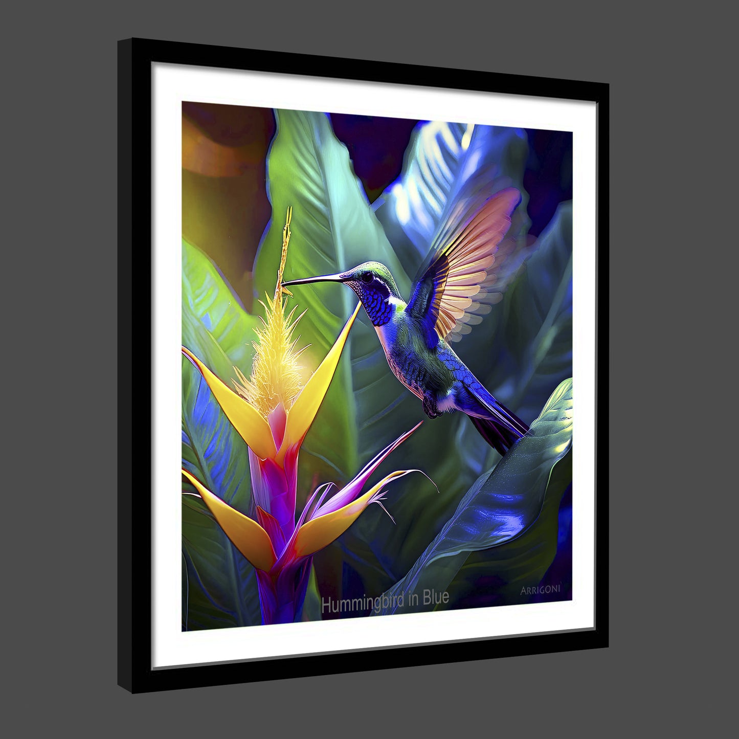HUMMINGBIRD IN BLUE (FINE ART PAPER PRINT FRAMED)