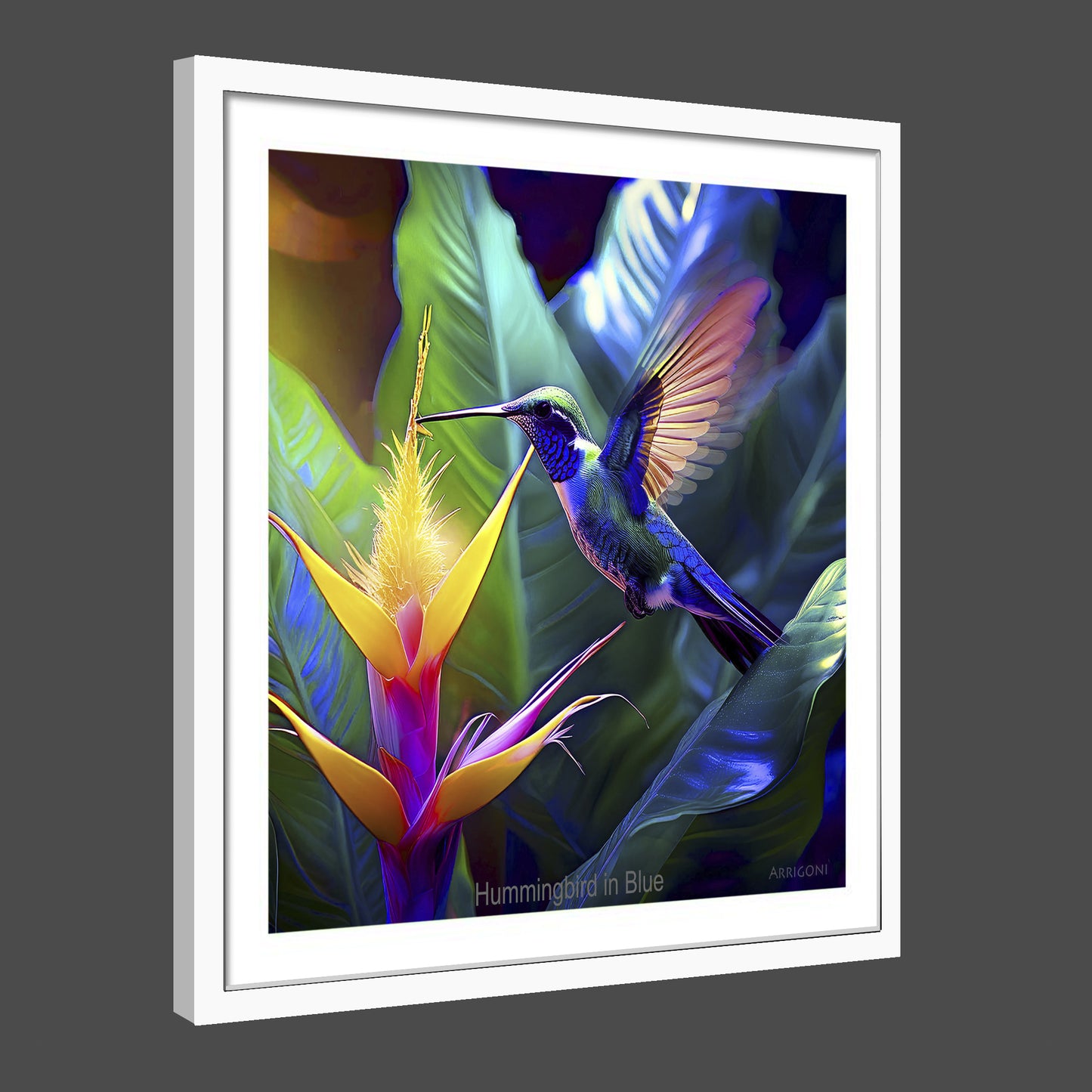 HUMMINGBIRD IN BLUE (FINE ART PAPER PRINT FRAMED)