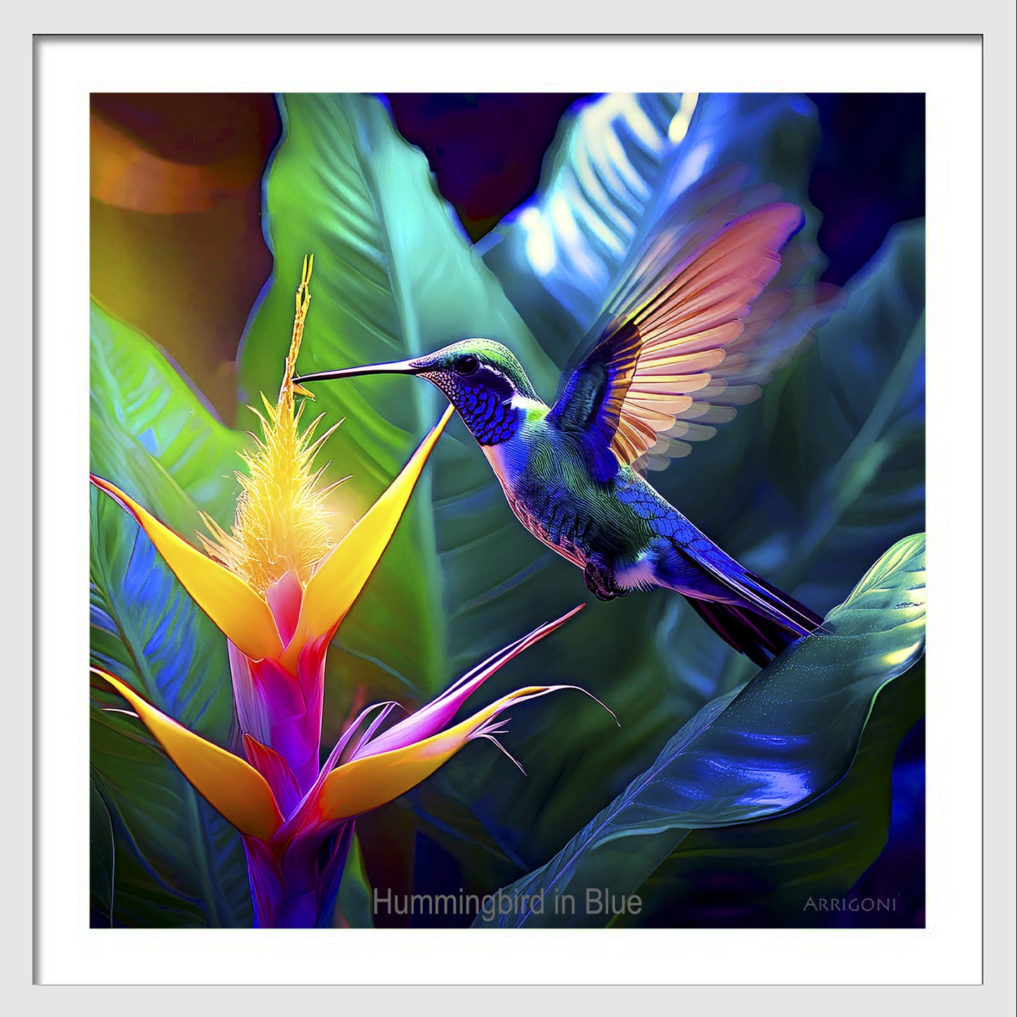 HUMMINGBIRD IN BLUE (FINE ART PAPER PRINT FRAMED)