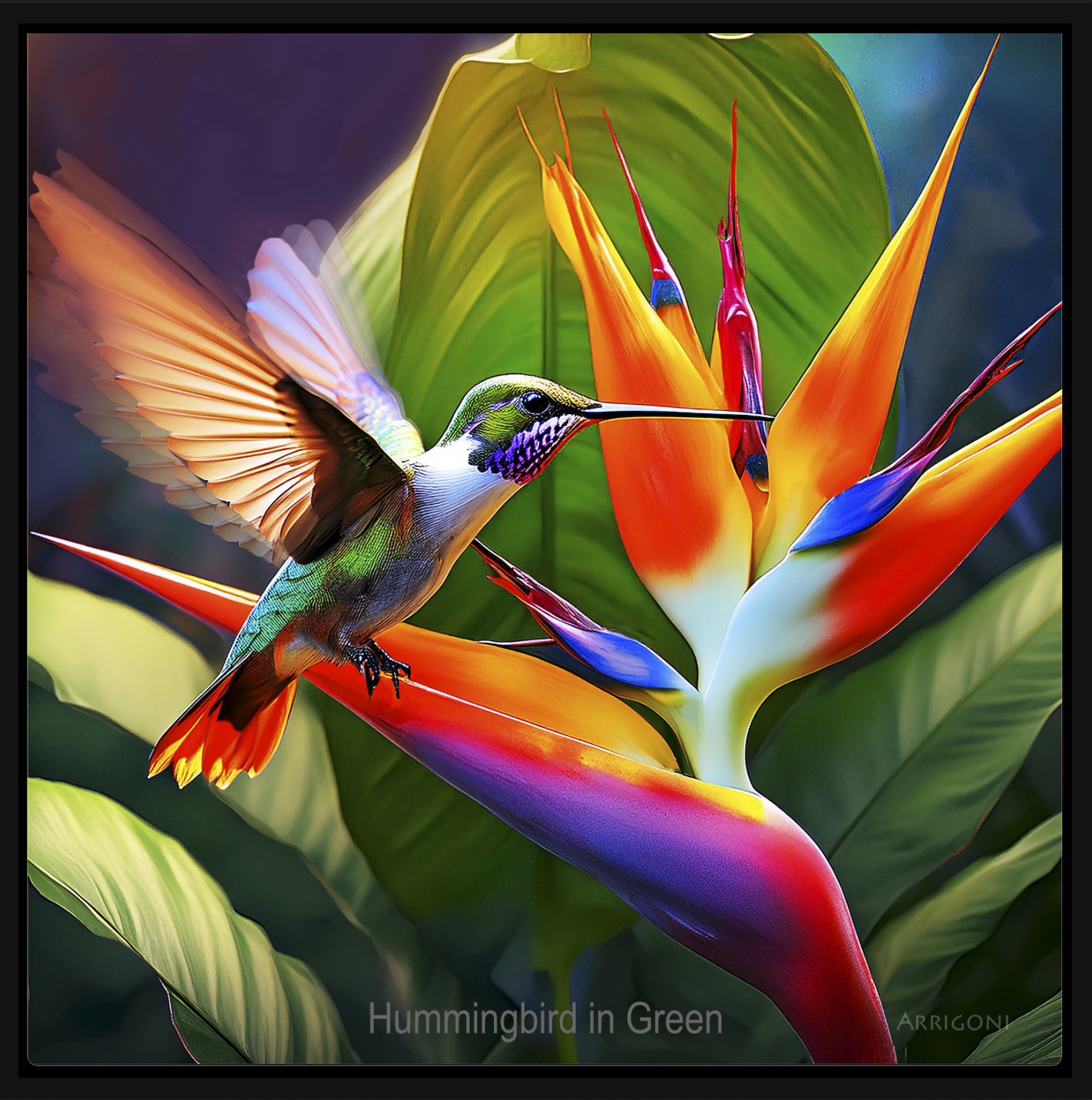 HUMMINGBIRD IN GREEN (CANVAS FRAMED)