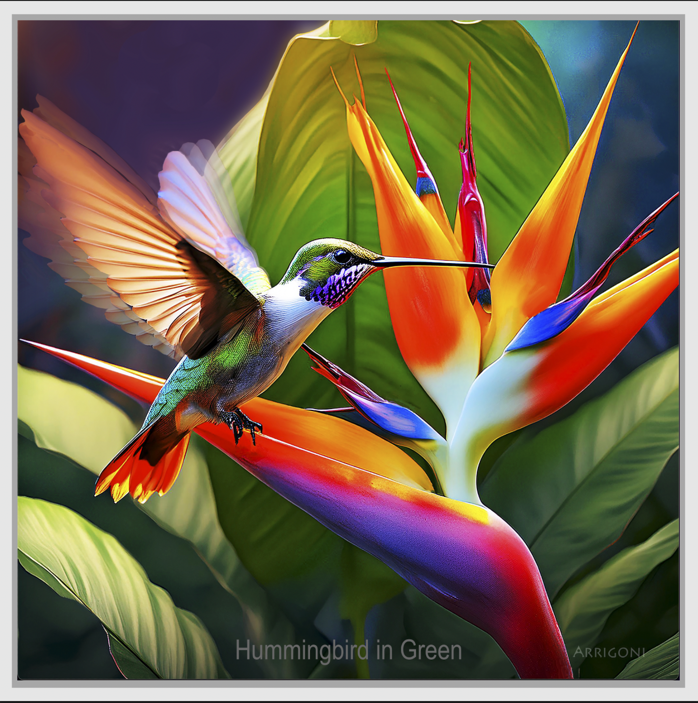 HUMMINGBIRD IN GREEN (CANVAS FRAMED)