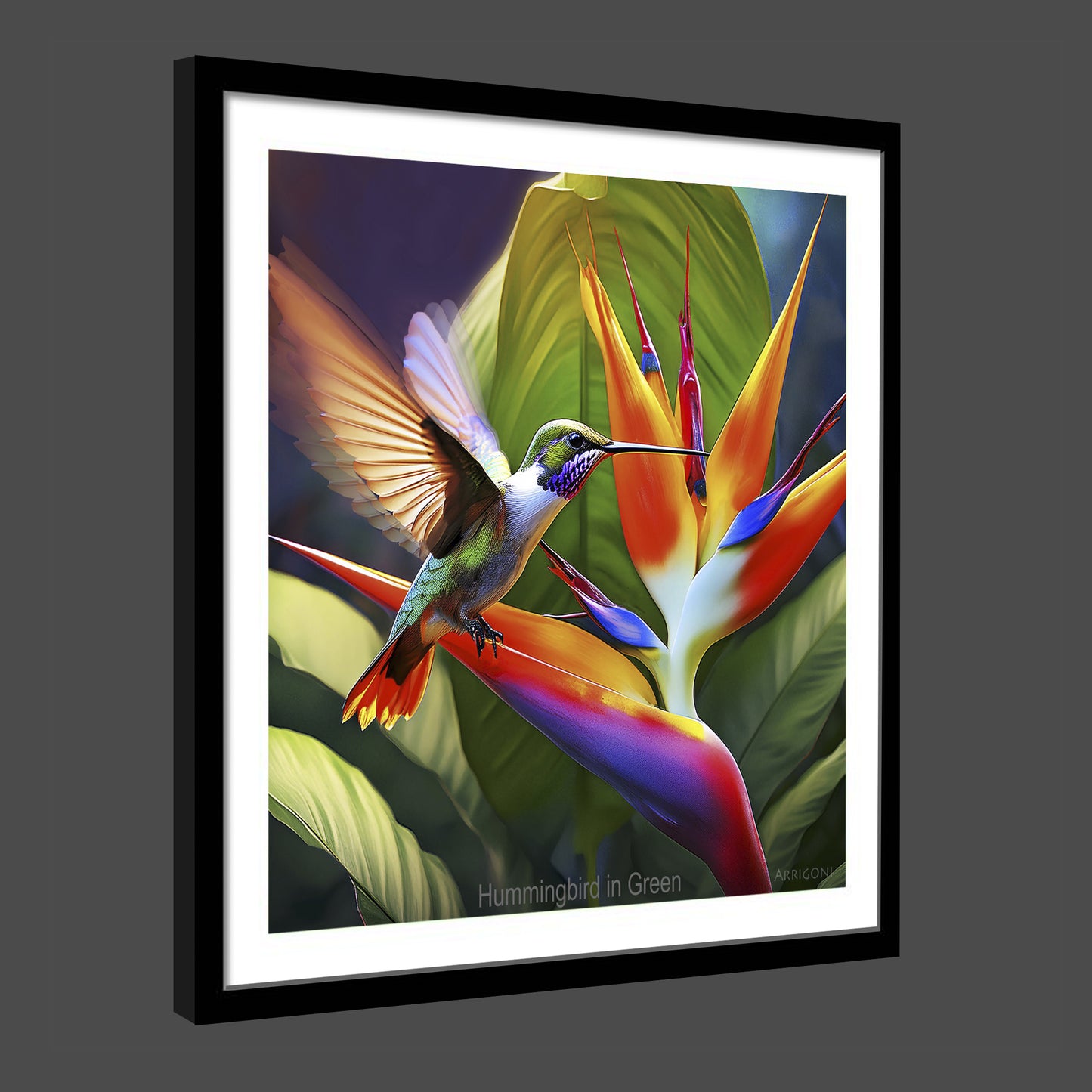 HUMMINGBIRD IN GREEN (FINE ART PAPER PRINT FRAMED)