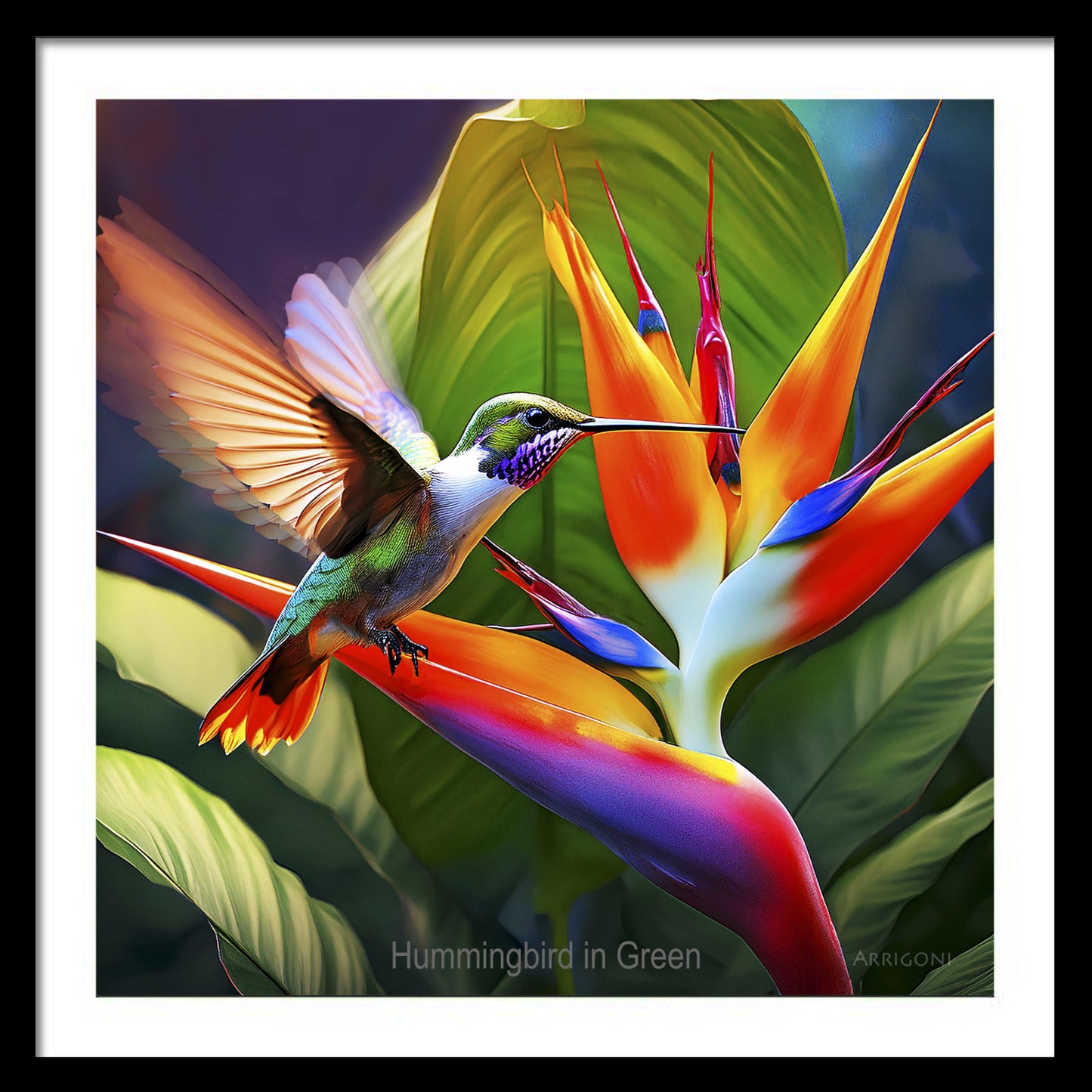 HUMMINGBIRD IN GREEN (FINE ART PAPER PRINT FRAMED)