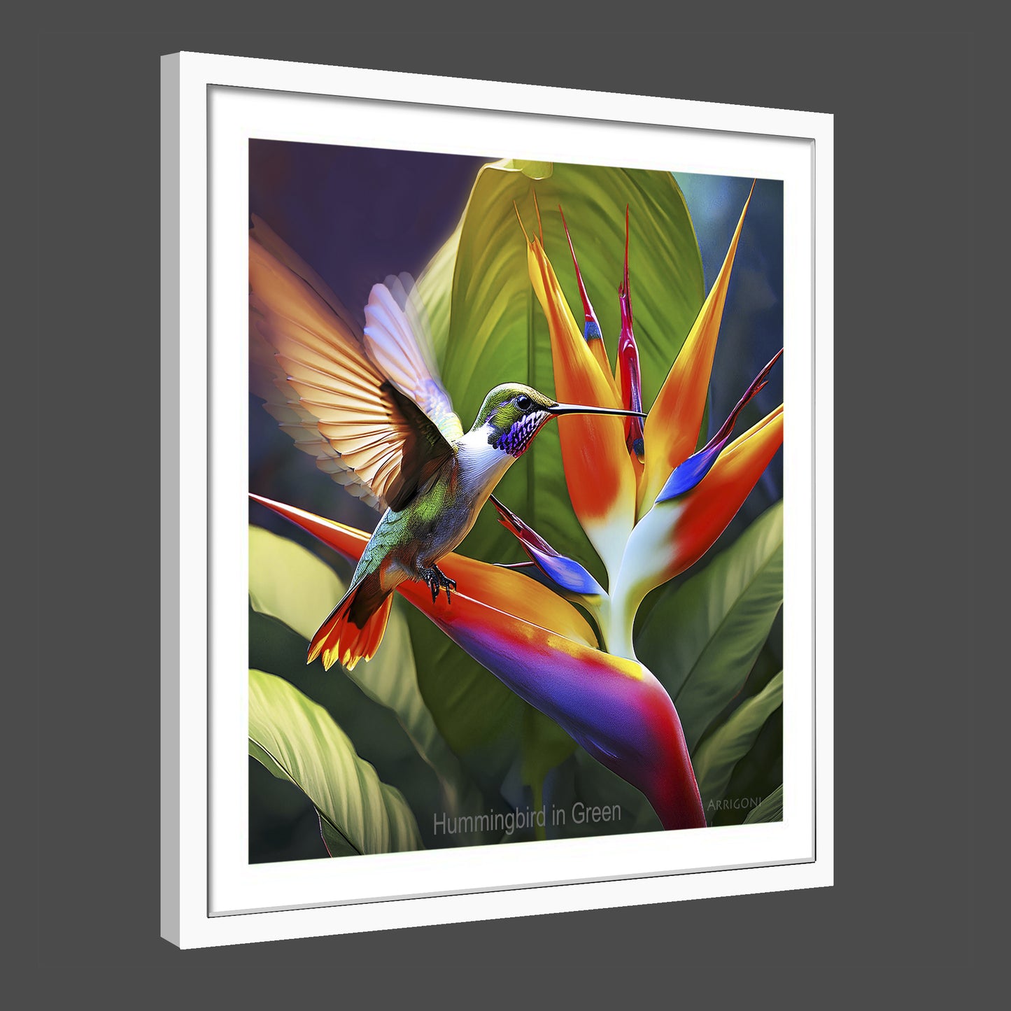 HUMMINGBIRD IN GREEN (FINE ART PAPER PRINT FRAMED)