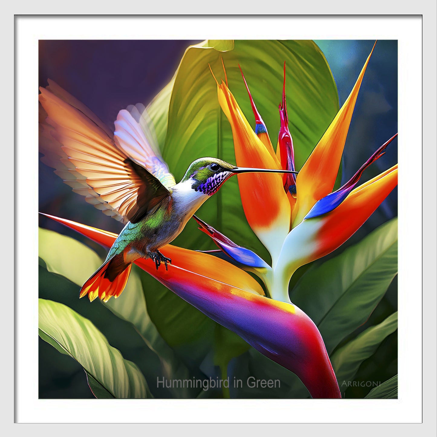 HUMMINGBIRD IN GREEN (FINE ART PAPER PRINT FRAMED)