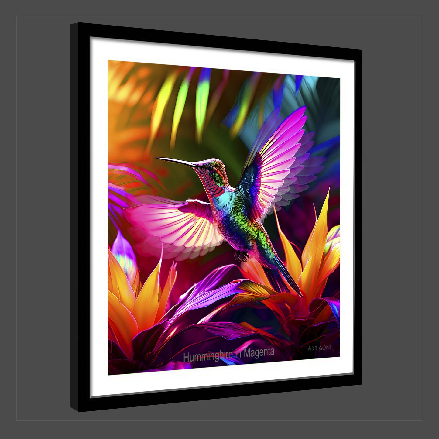 HUMMINGBIRD IN MAGENTA (FINE ART PAPER PRINT FRAMED)