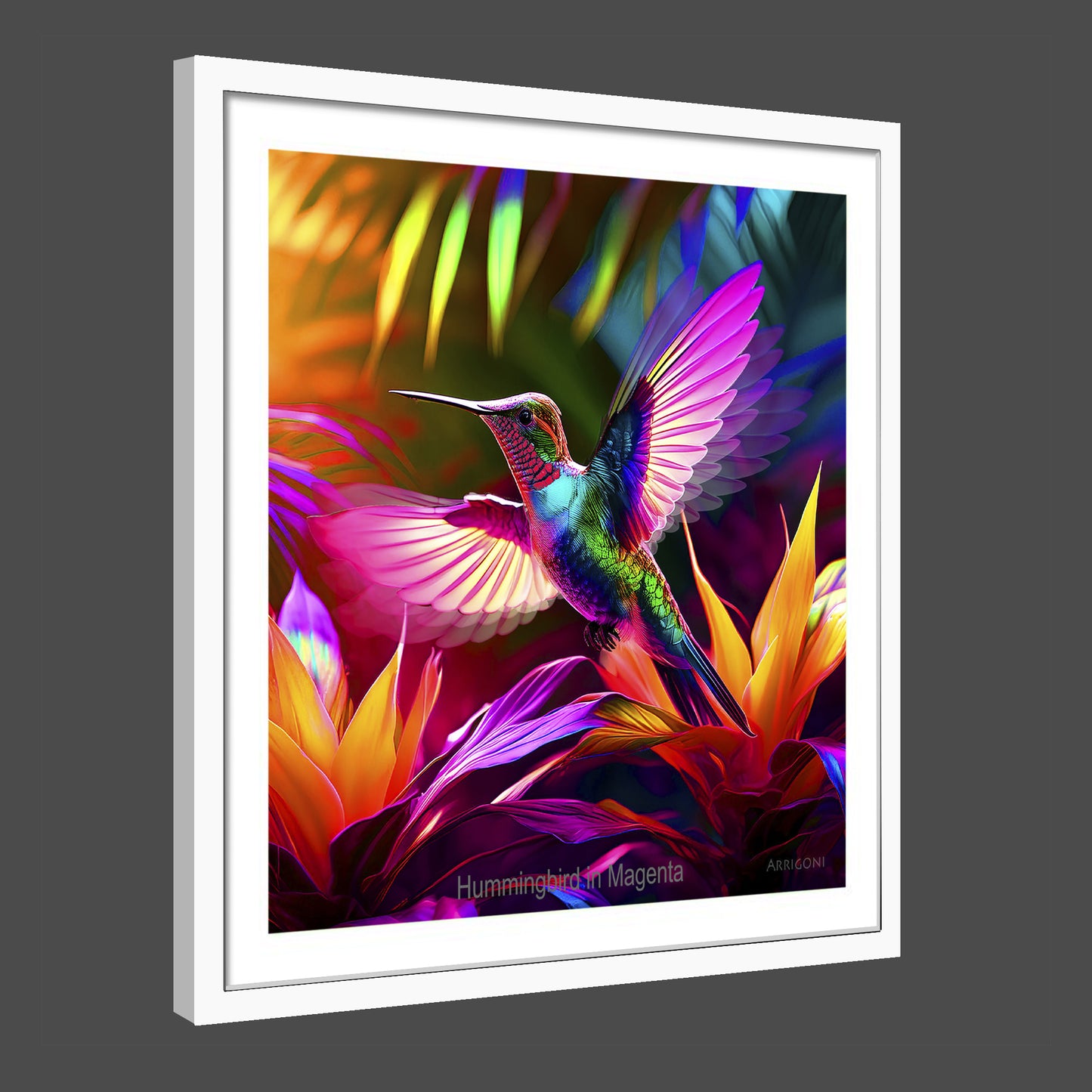 HUMMINGBIRD IN MAGENTA (FINE ART PAPER PRINT FRAMED)
