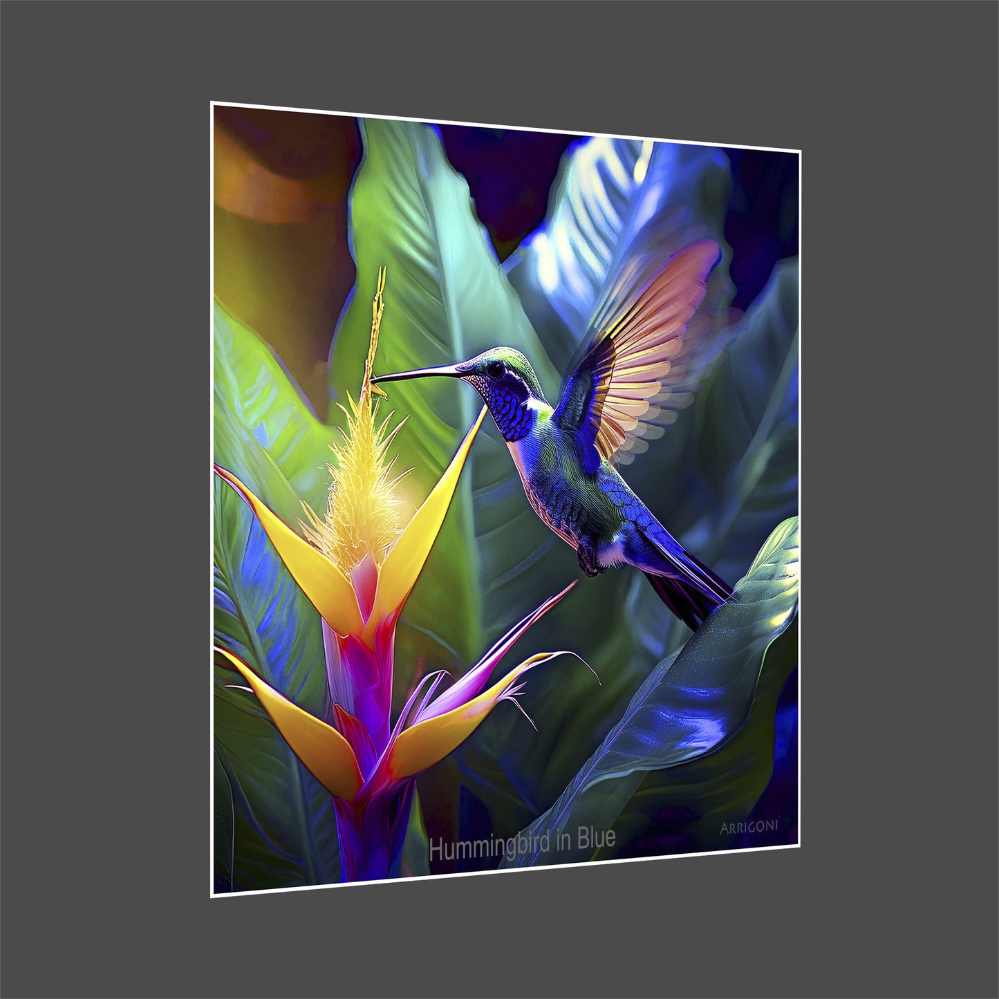 HUMMINGBIRD IN BLUE (PAPER ONLY)