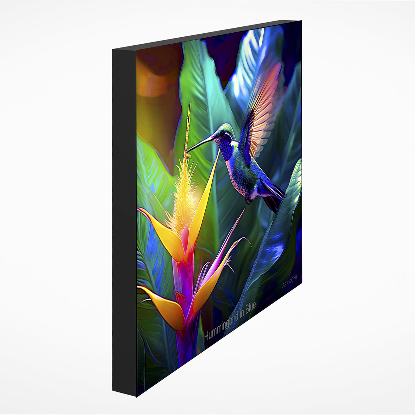 HUMMINGBIRD IN BLUE (GALLERY WRAPPED CANVAS)