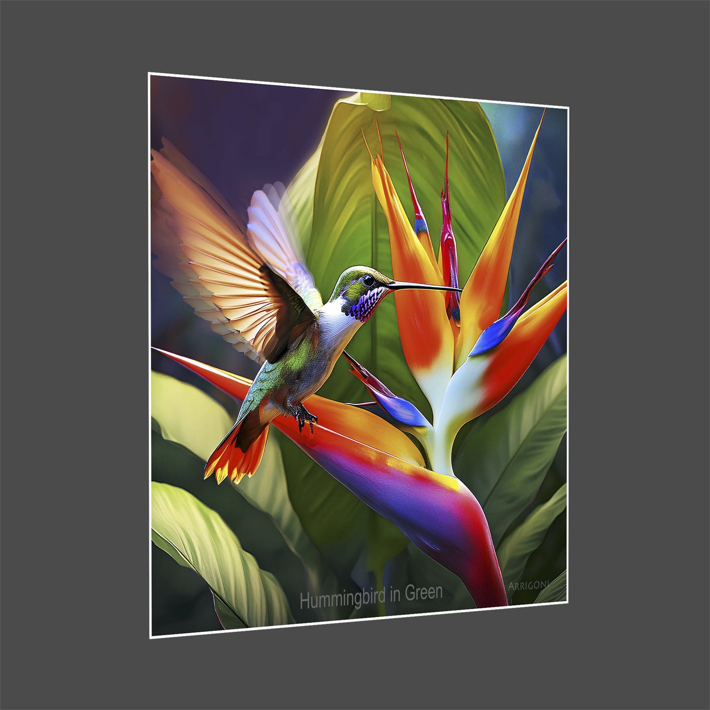 HUMMINGBIRD IN GREEN (PAPER ONLY)