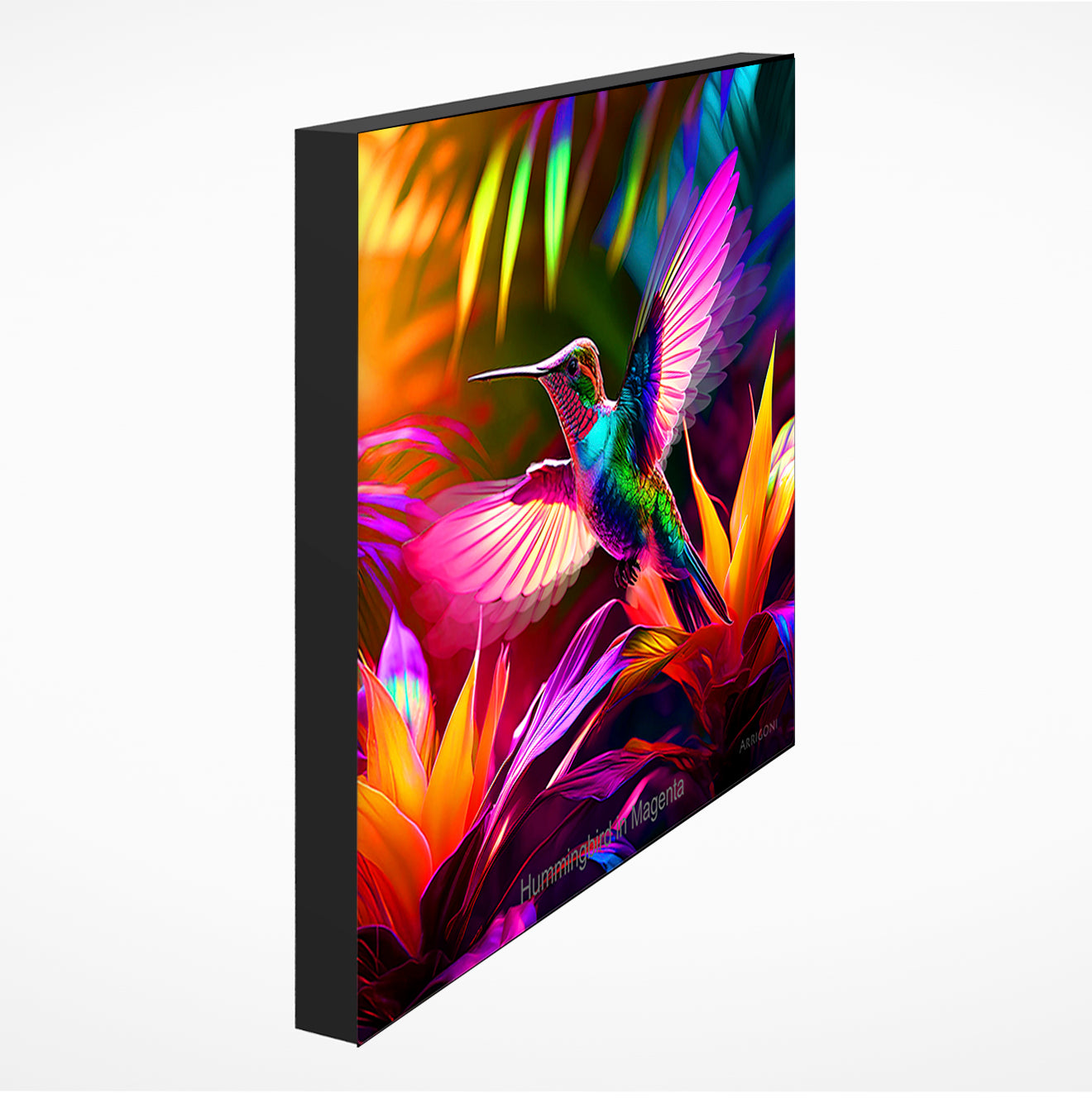 HUMMINGBIRD IN MAGENTA (GALLERY WRAPPED CANVAS)