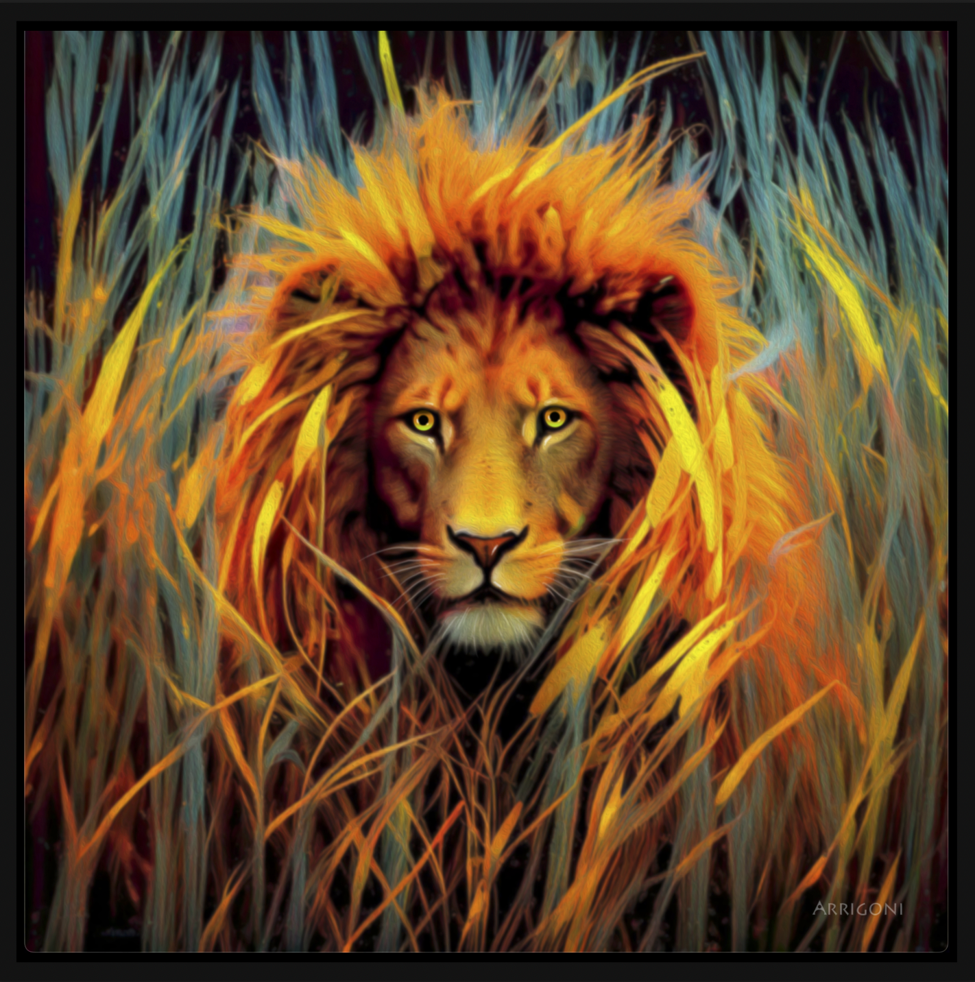 LION IN THE GRASS (CANVAS FRAMED)