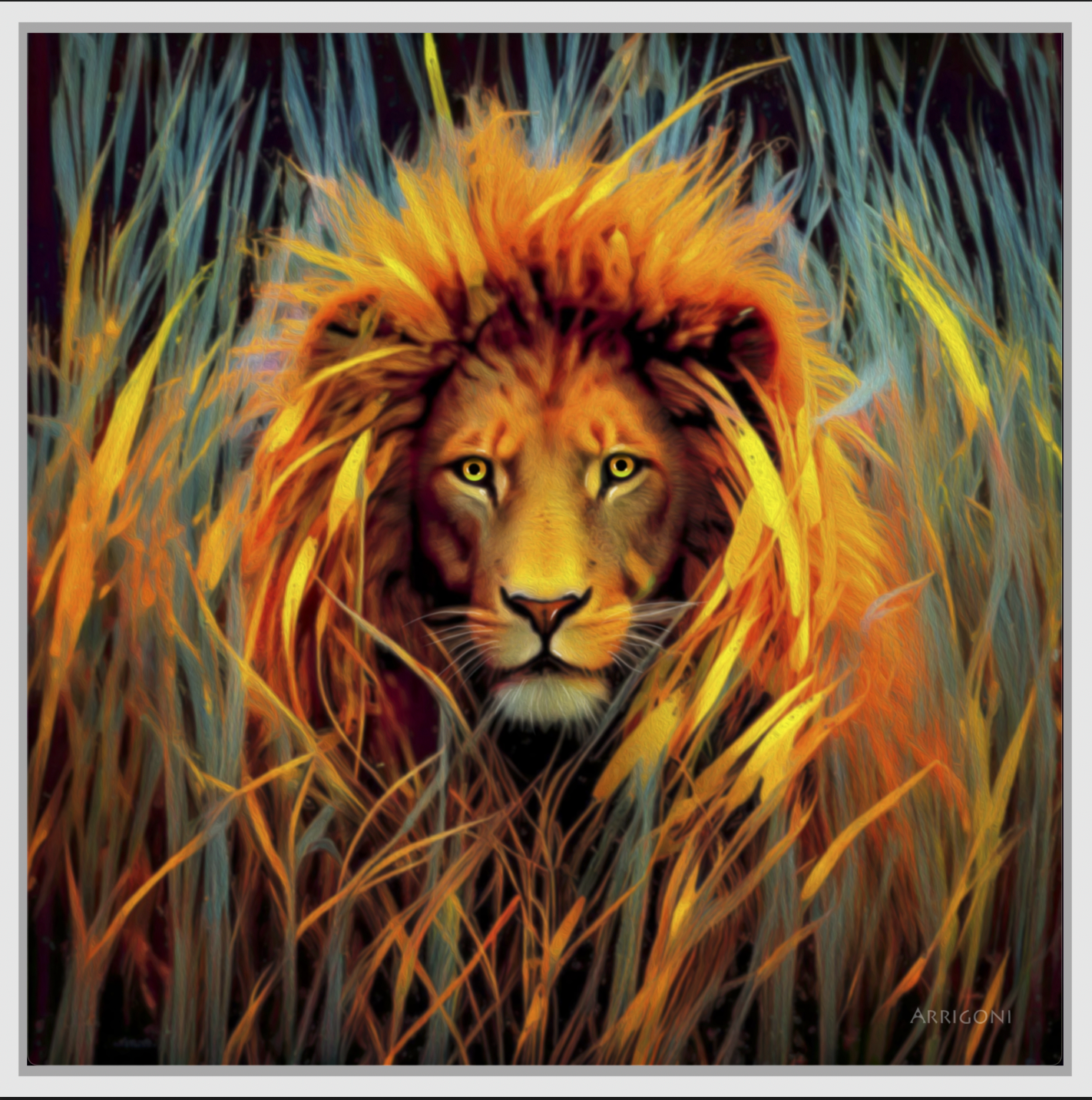 LION IN THE GRASS (CANVAS FRAMED)