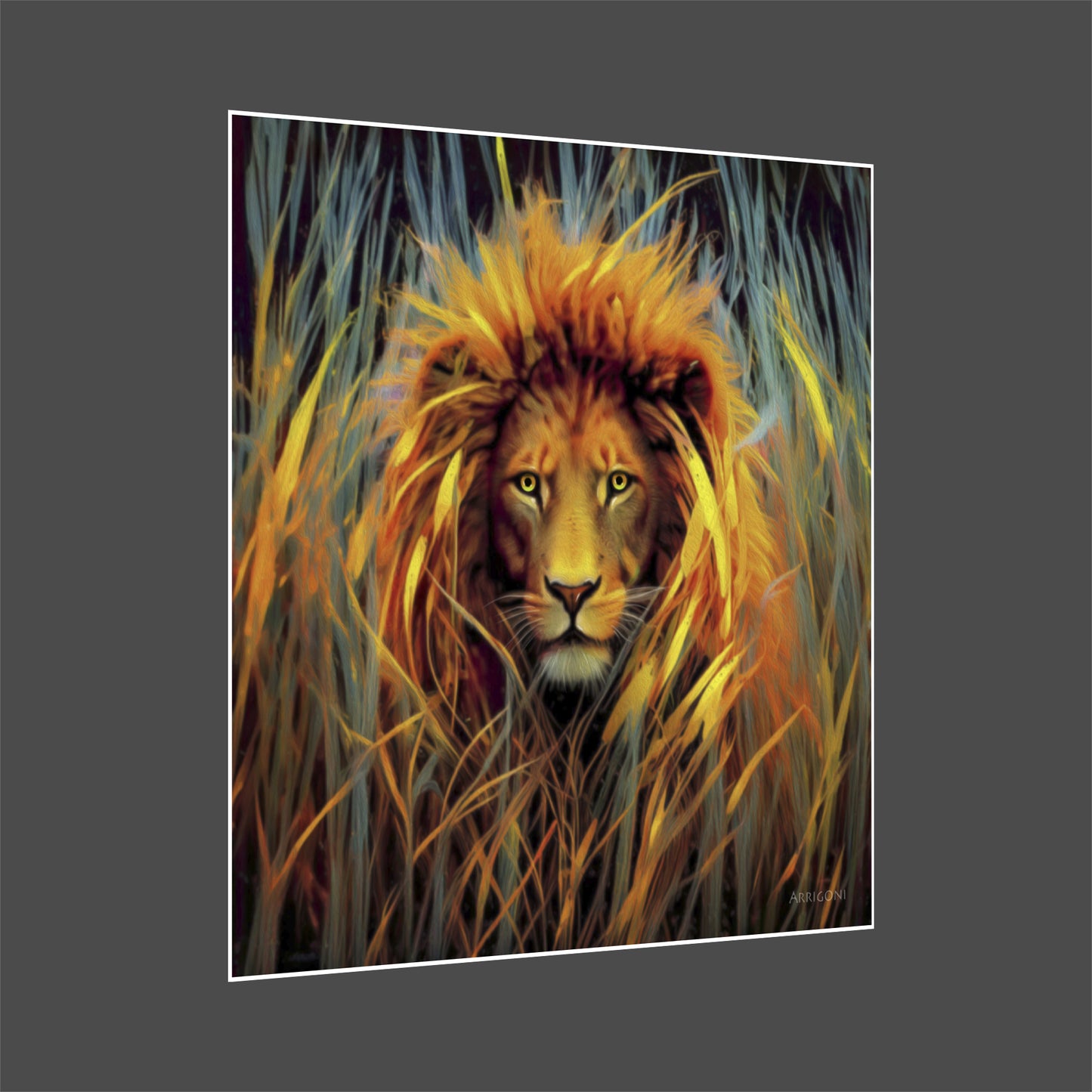 LION IN THE GRASS (PAPER ONLY)