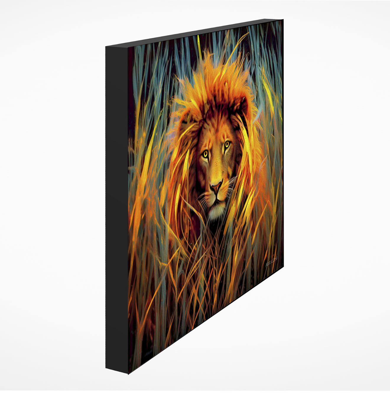 LION IN THE GRASS (GALLERY WRAPPED CANVAS)