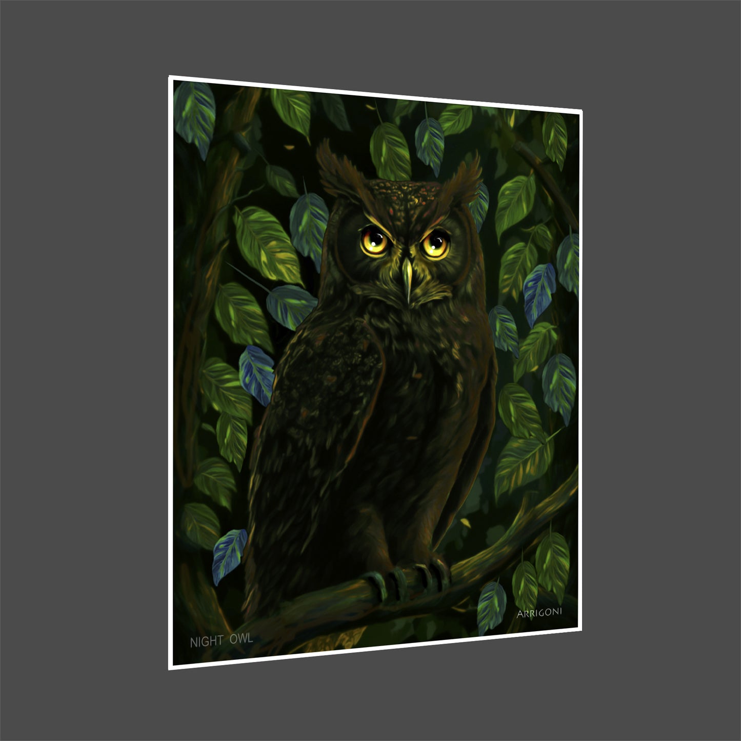 NIGHT OWL (PAPER ONLY)