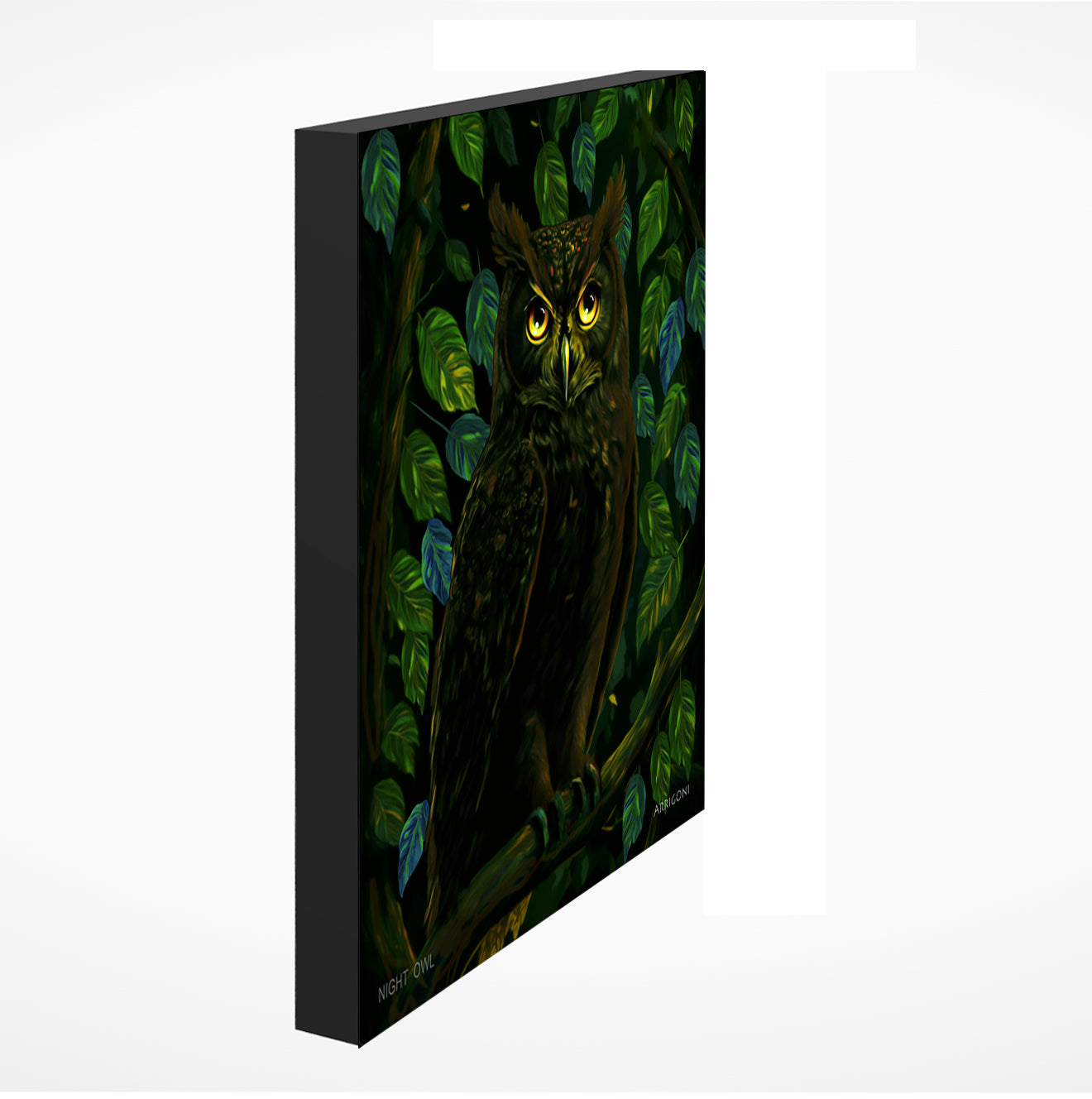 NIGHT OWL (GALLERY WRAPPED CANVAS)