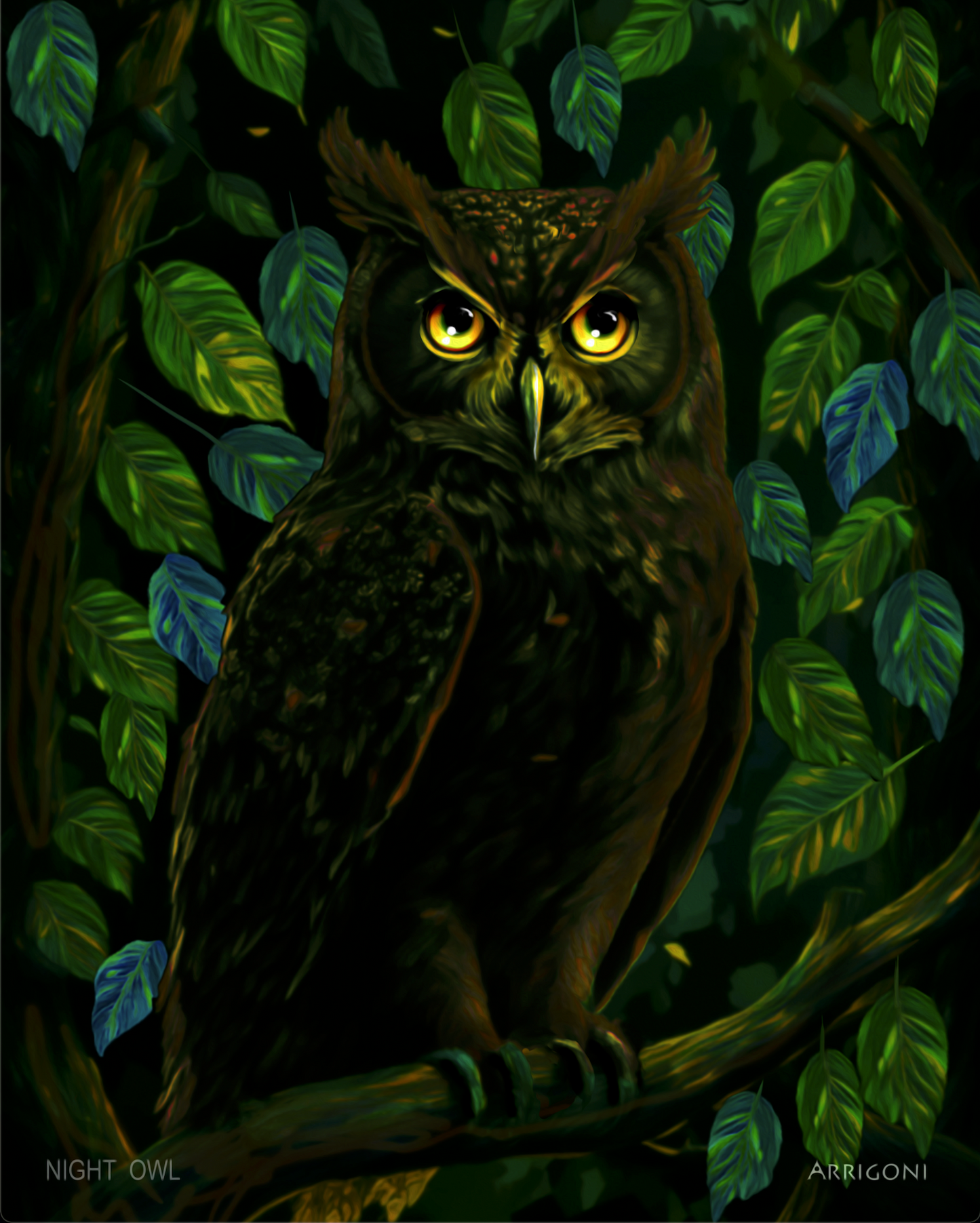 NIGHT OWL (GALLERY WRAPPED CANVAS)