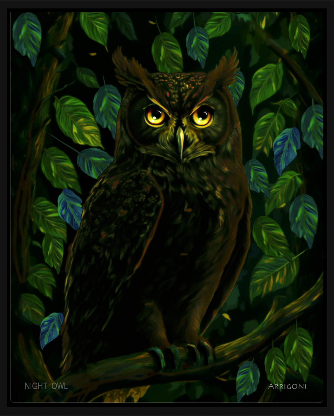 NIGHT OWL (CANVAS FRAMED)