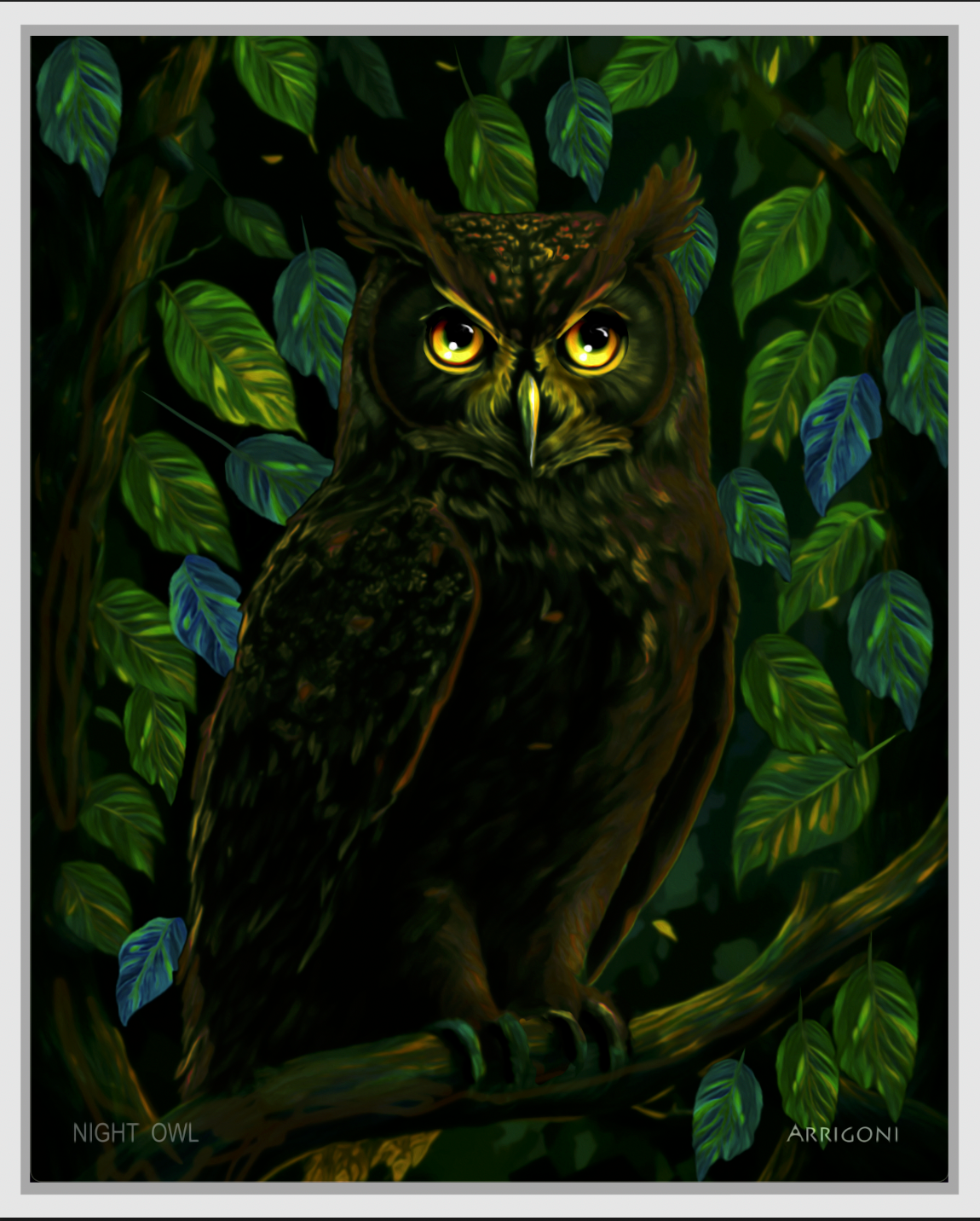 NIGHT OWL (CANVAS FRAMED)
