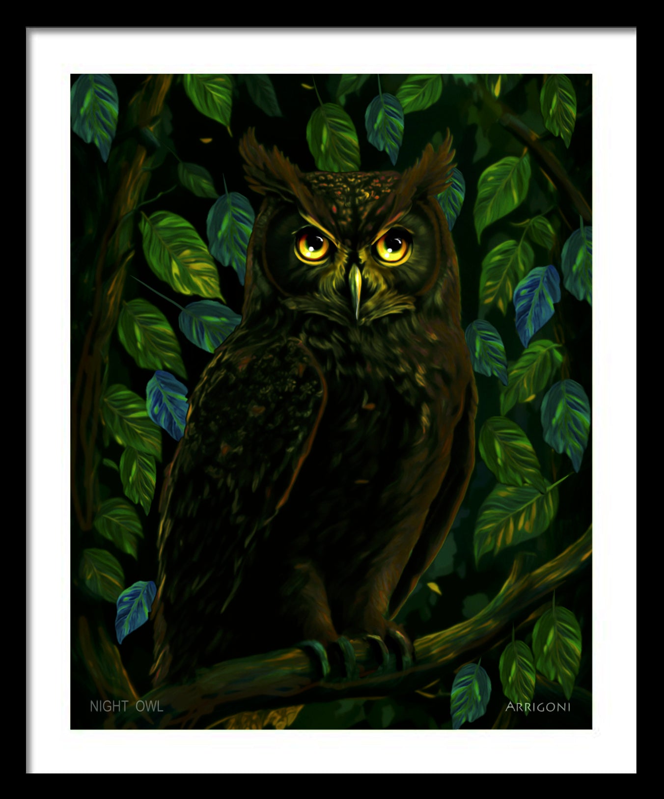 NIGHT OWL (FINE ART PAPER PRINT FRAMED)