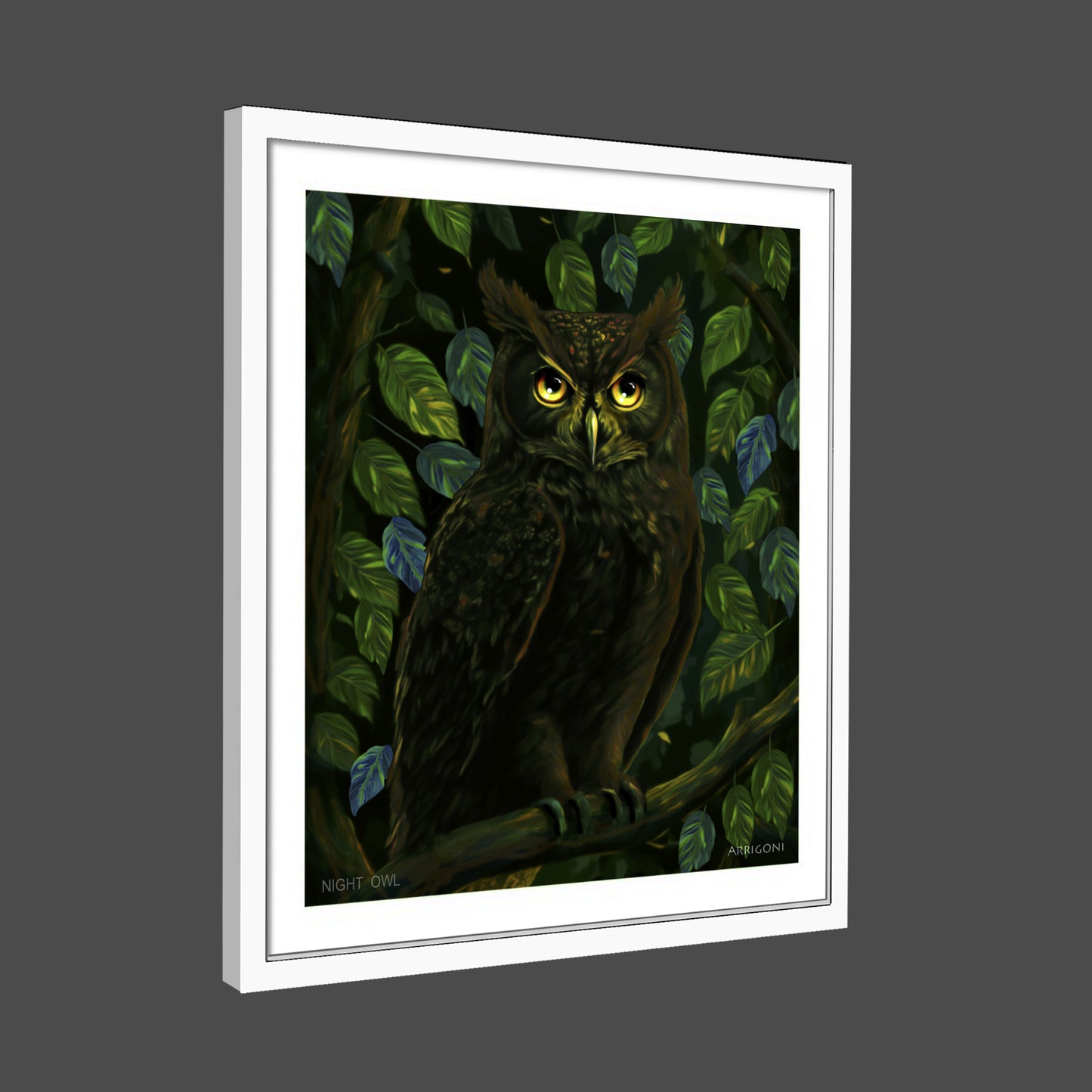 NIGHT OWL (FINE ART PAPER PRINT FRAMED)