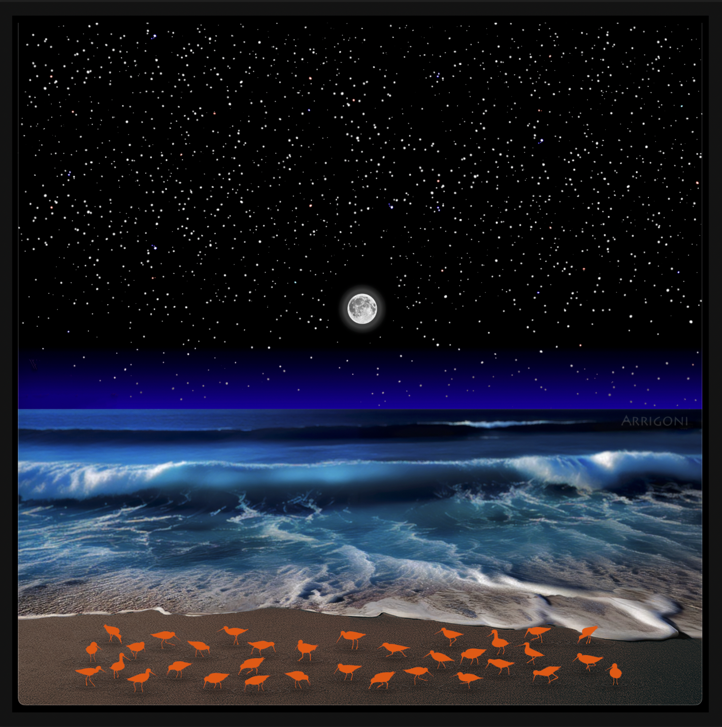 SHOREBIRDS (CANVAS FRAMED)