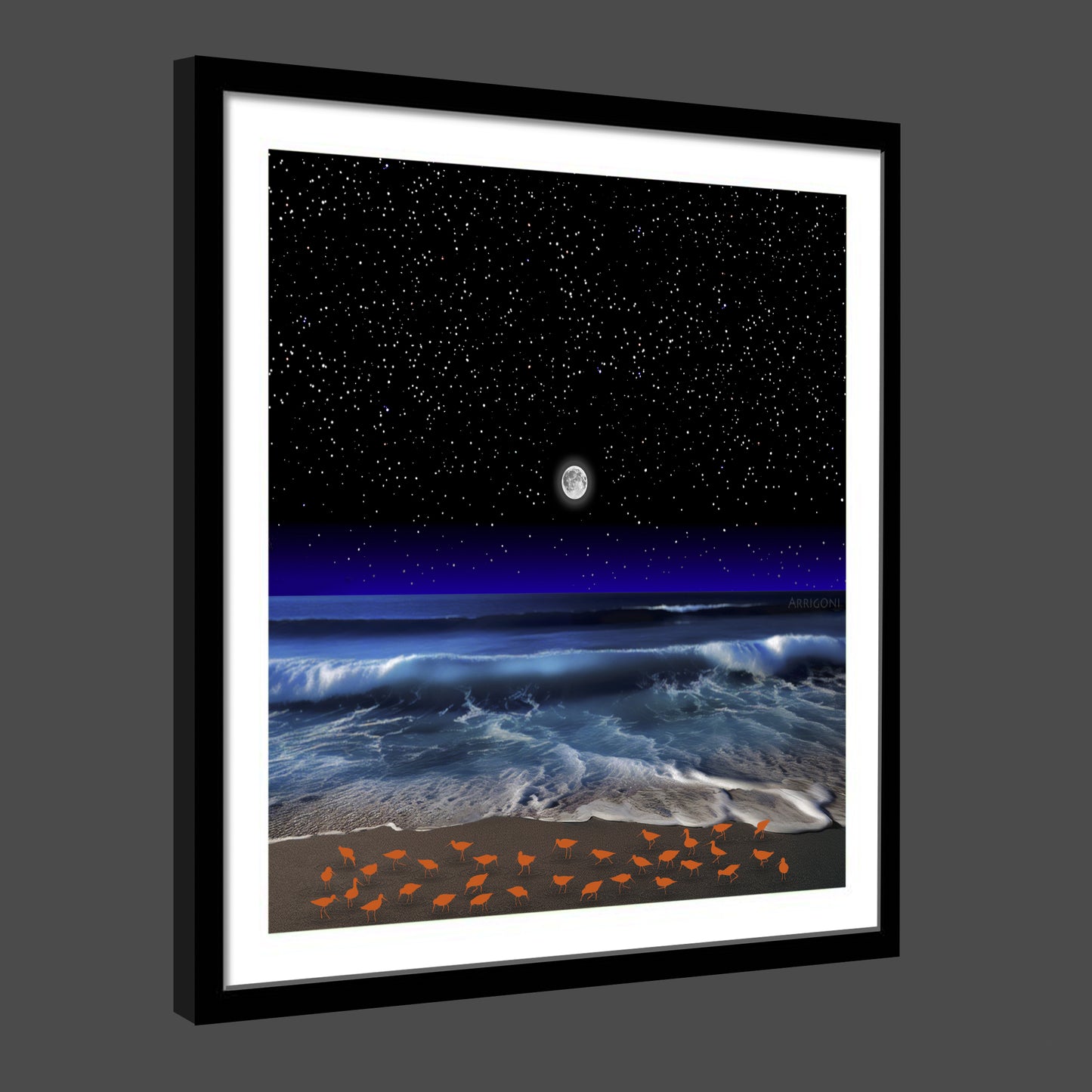 SHOREBIRDS (FINE ART PAPER PRINT FRAMED)