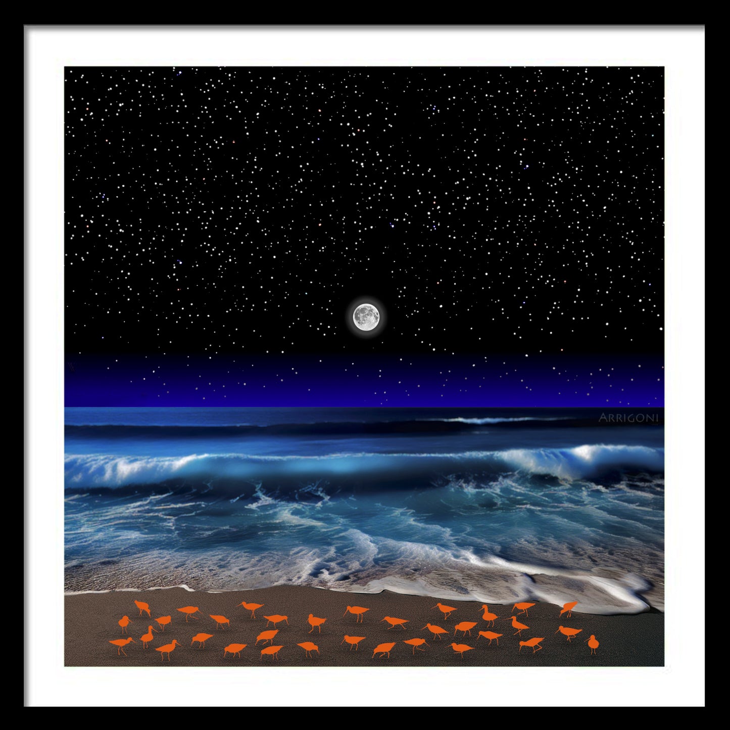 SHOREBIRDS (FINE ART PAPER PRINT FRAMED)