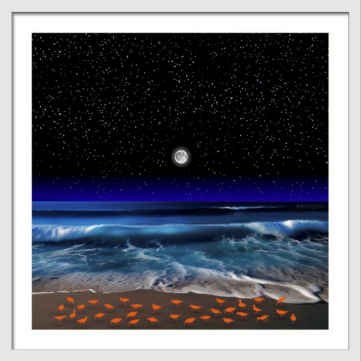 SHOREBIRDS (FINE ART PAPER PRINT FRAMED)