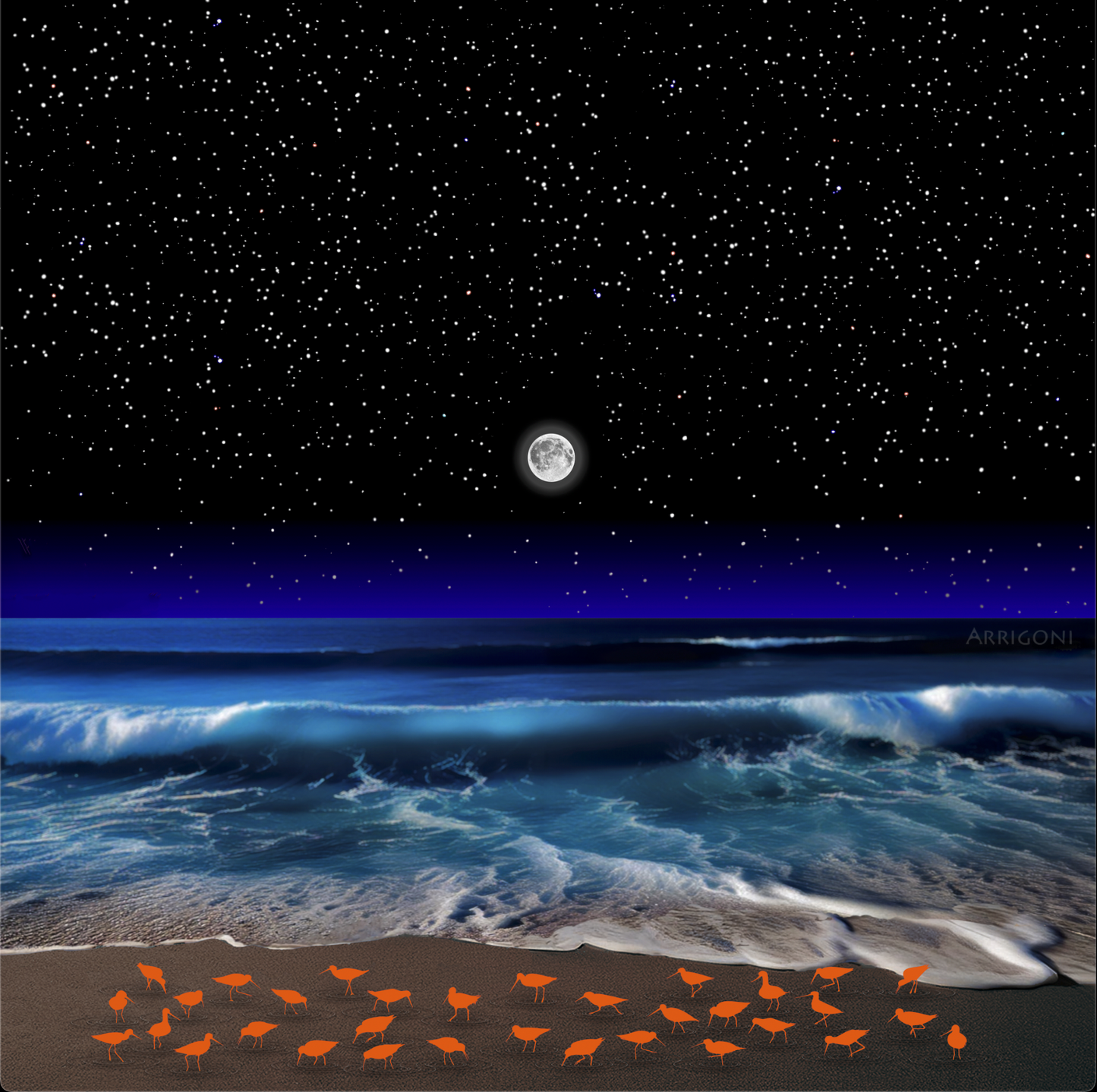SHOREBIRDS (CANVAS ONLY)