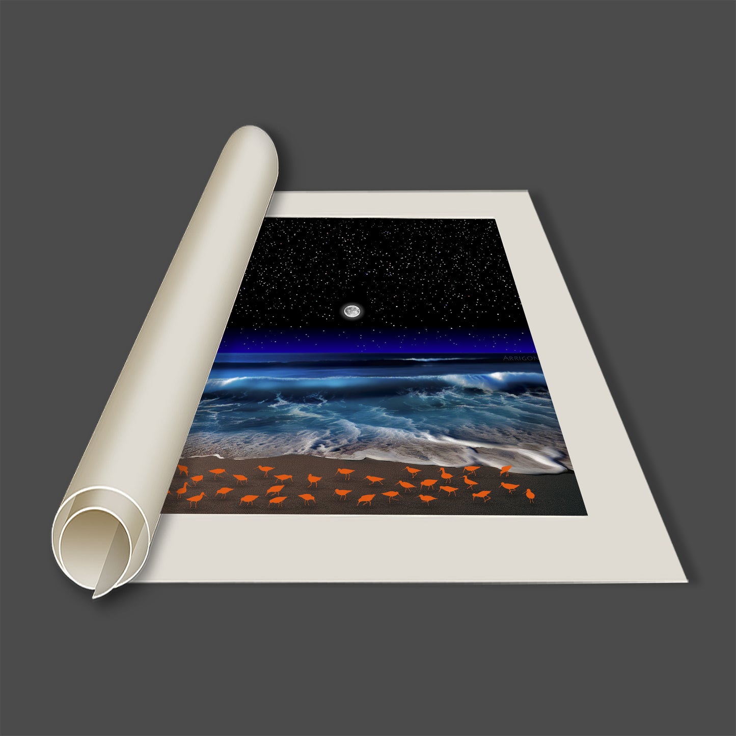 SHOREBIRDS (CANVAS ONLY)