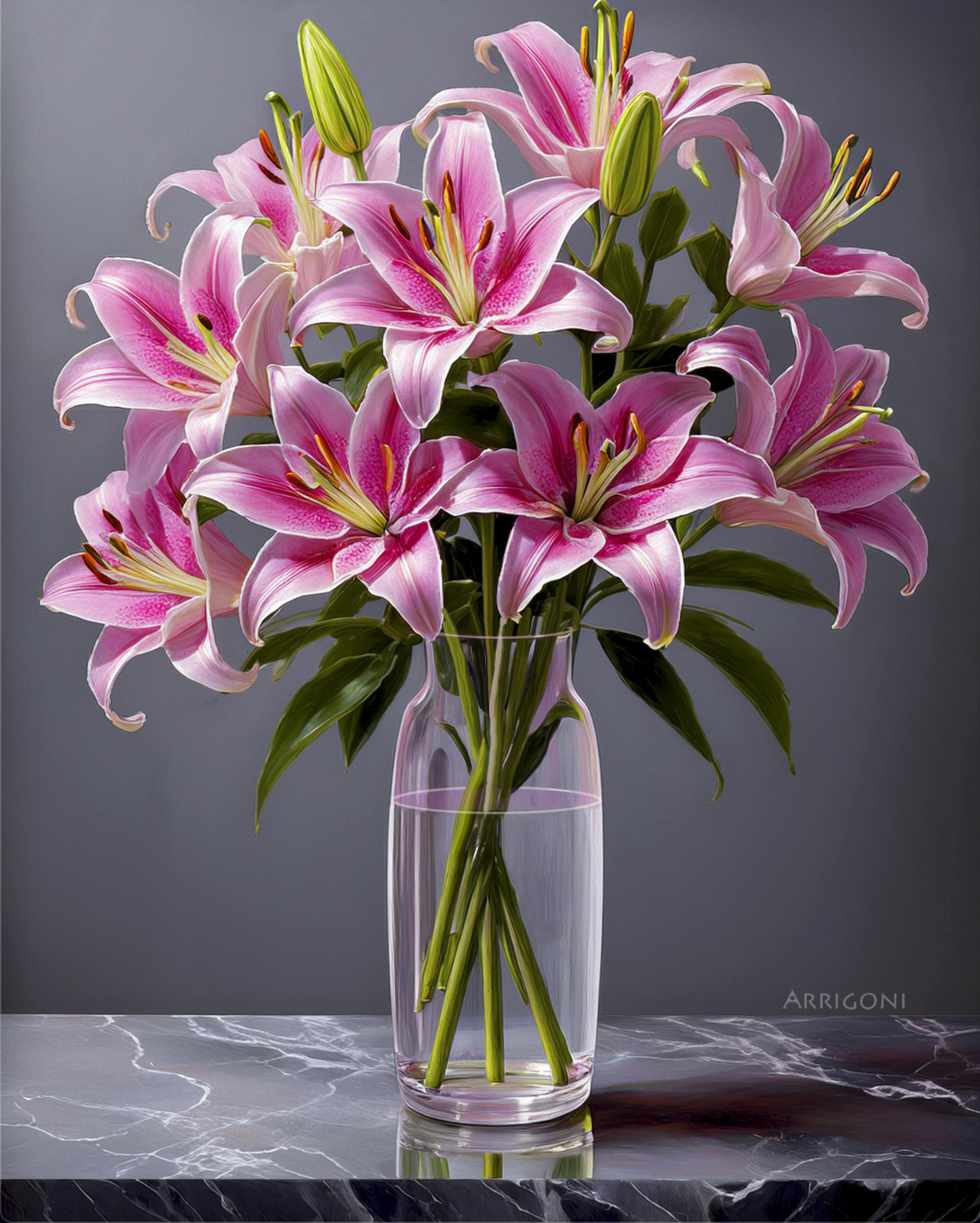 STARGAZERS PINK (PAPER Only)
