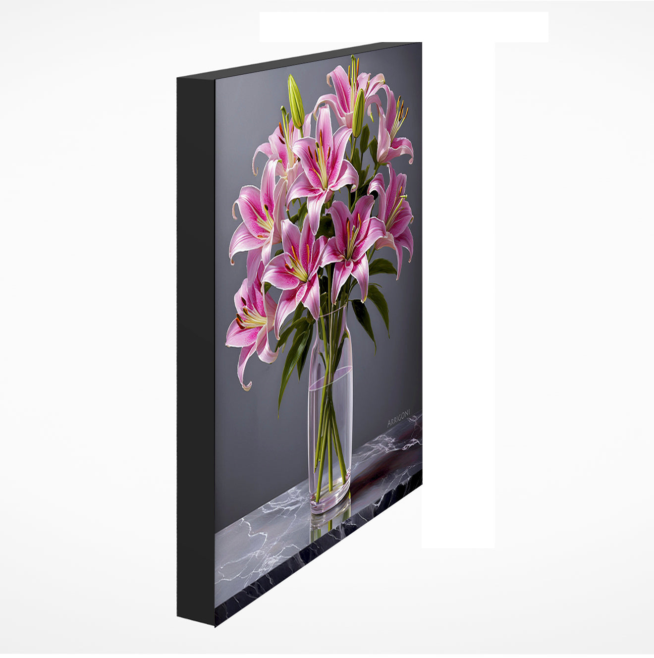 STARGAZERS PINK (GALLERY WRAPPED CANVAS)