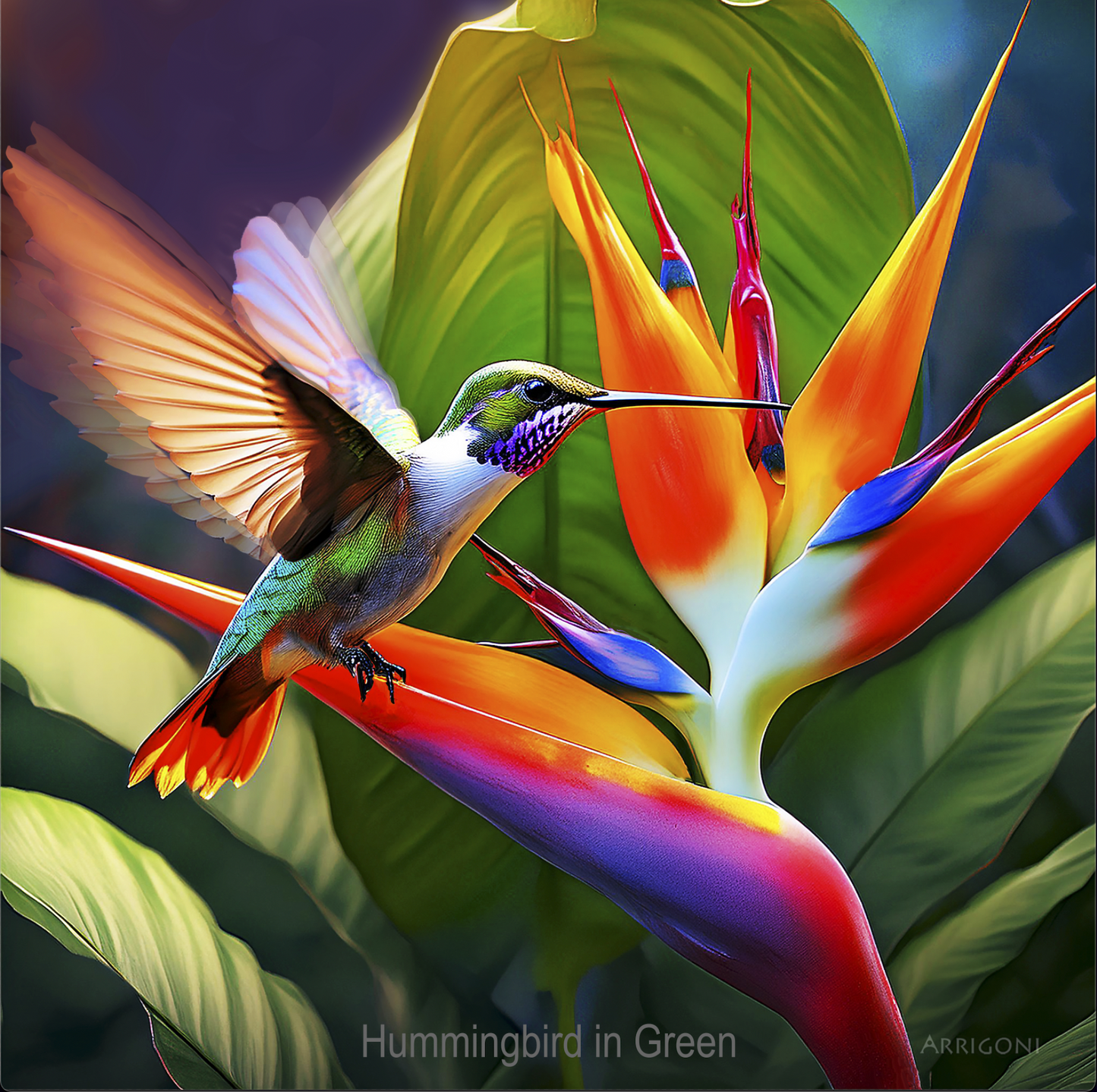 HUMMINGBIRD IN GREEN (CANVAS ONLY)