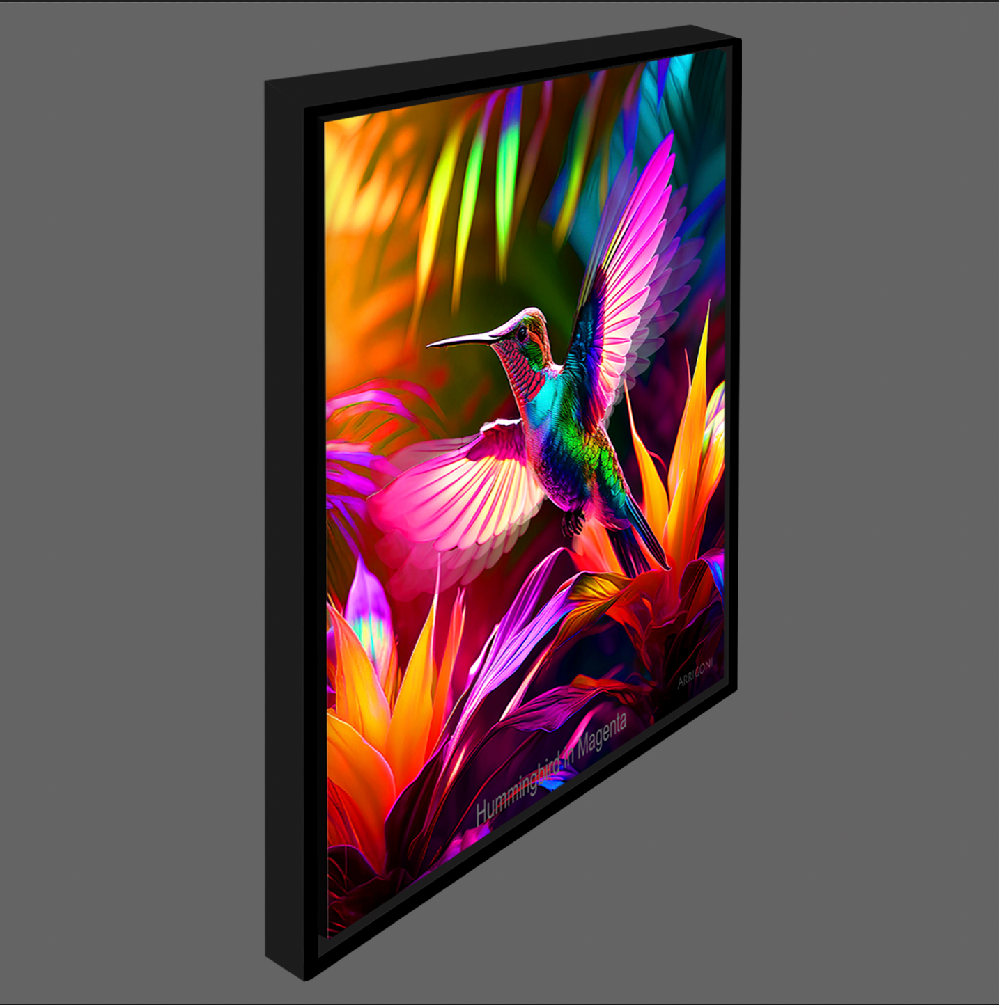HUMMINGBIRD IN MAGENTA (CANVAS FRAMED)