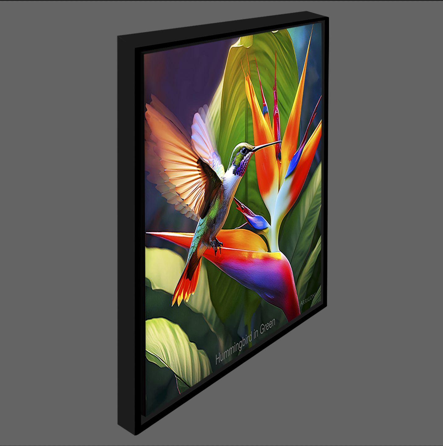 HUMMINGBIRD IN GREEN (CANVAS FRAMED)